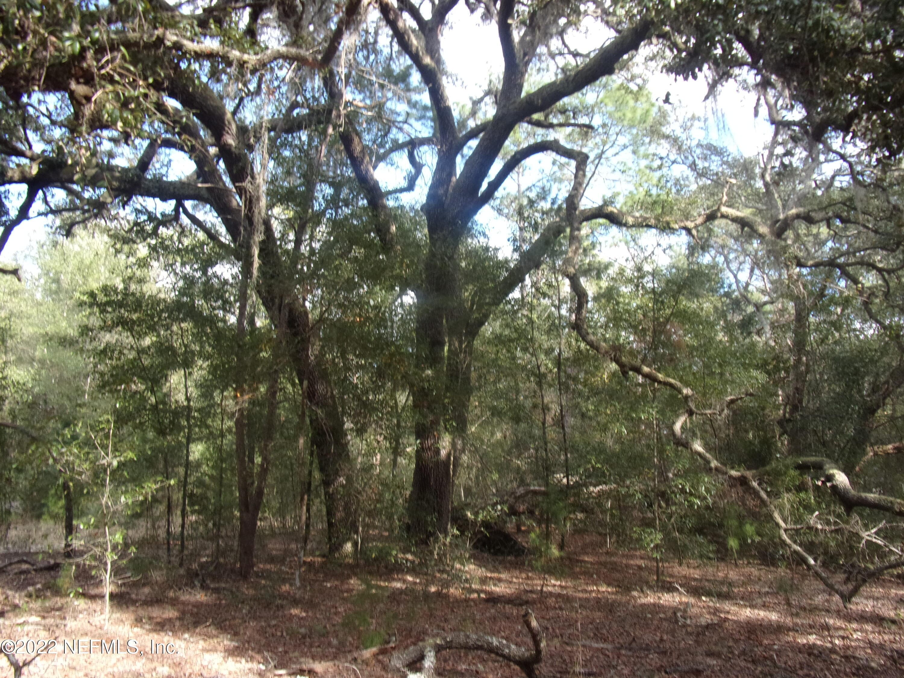 0 S COUNTY ROAD 315, Interlachen, FL 32148, Interlachen — photo 2