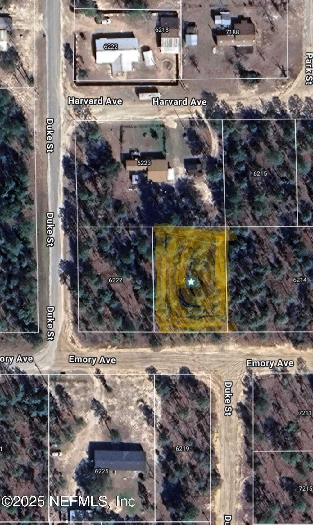 6218 EMORY Avenue, Keystone Heights, FL 32656, Keystone Heights — photo 2