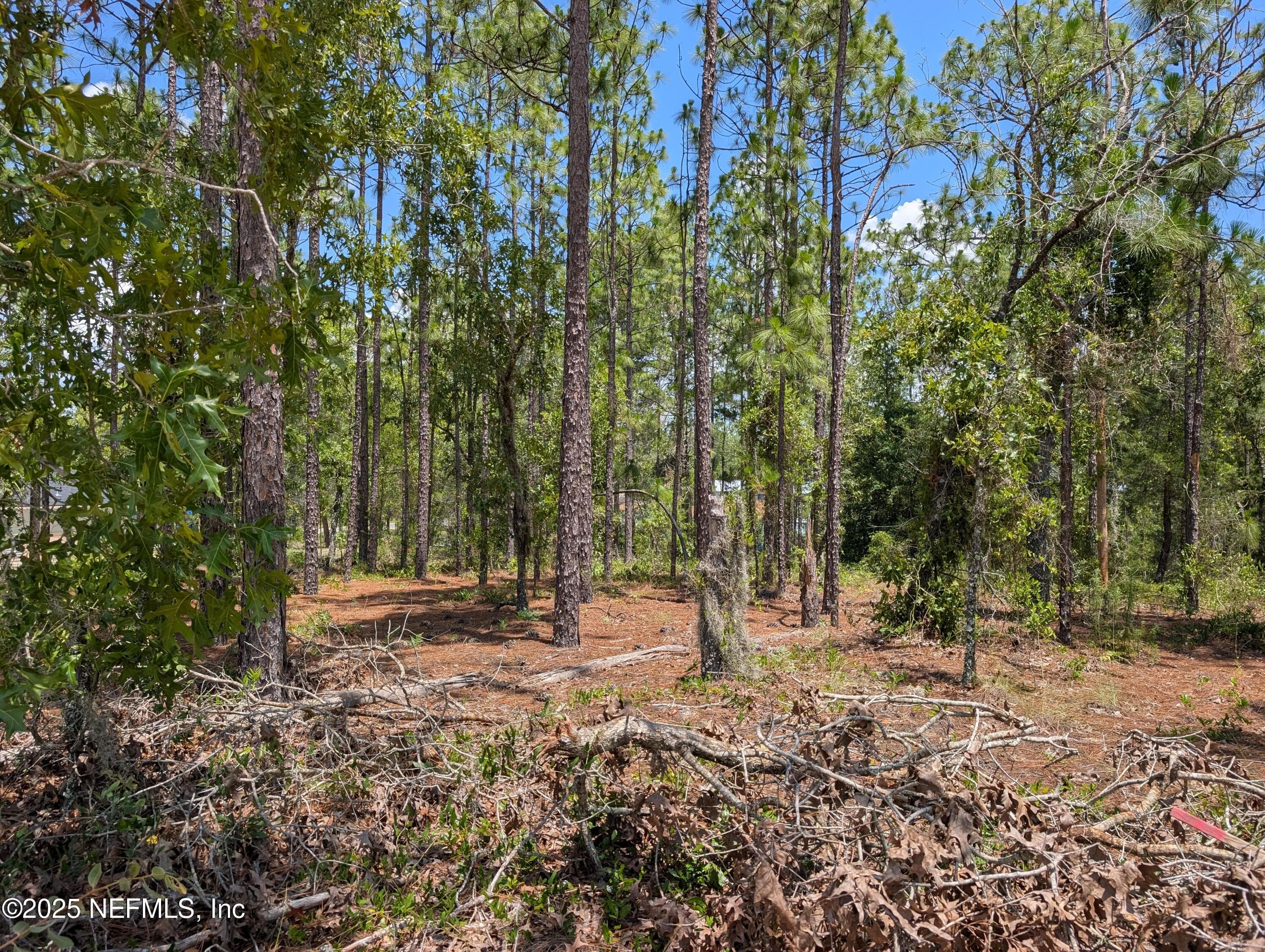 6218 EMORY Avenue, Keystone Heights, FL 32656, Keystone Heights — exterior