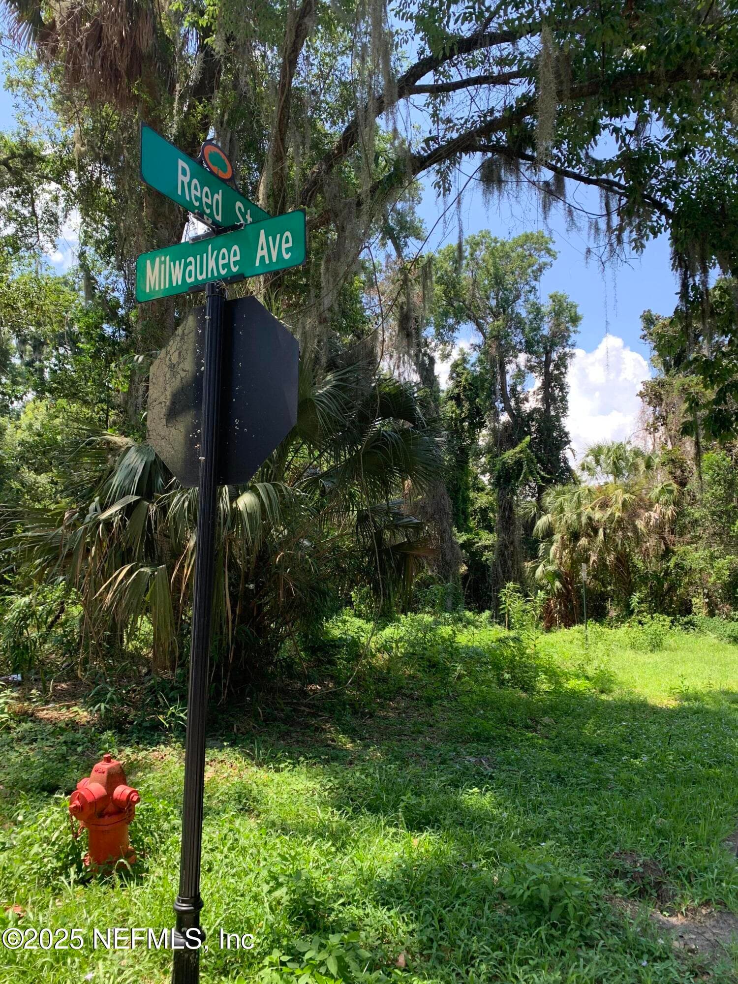 0 MILWAUKEE Avenue, Orange Park — photo 3