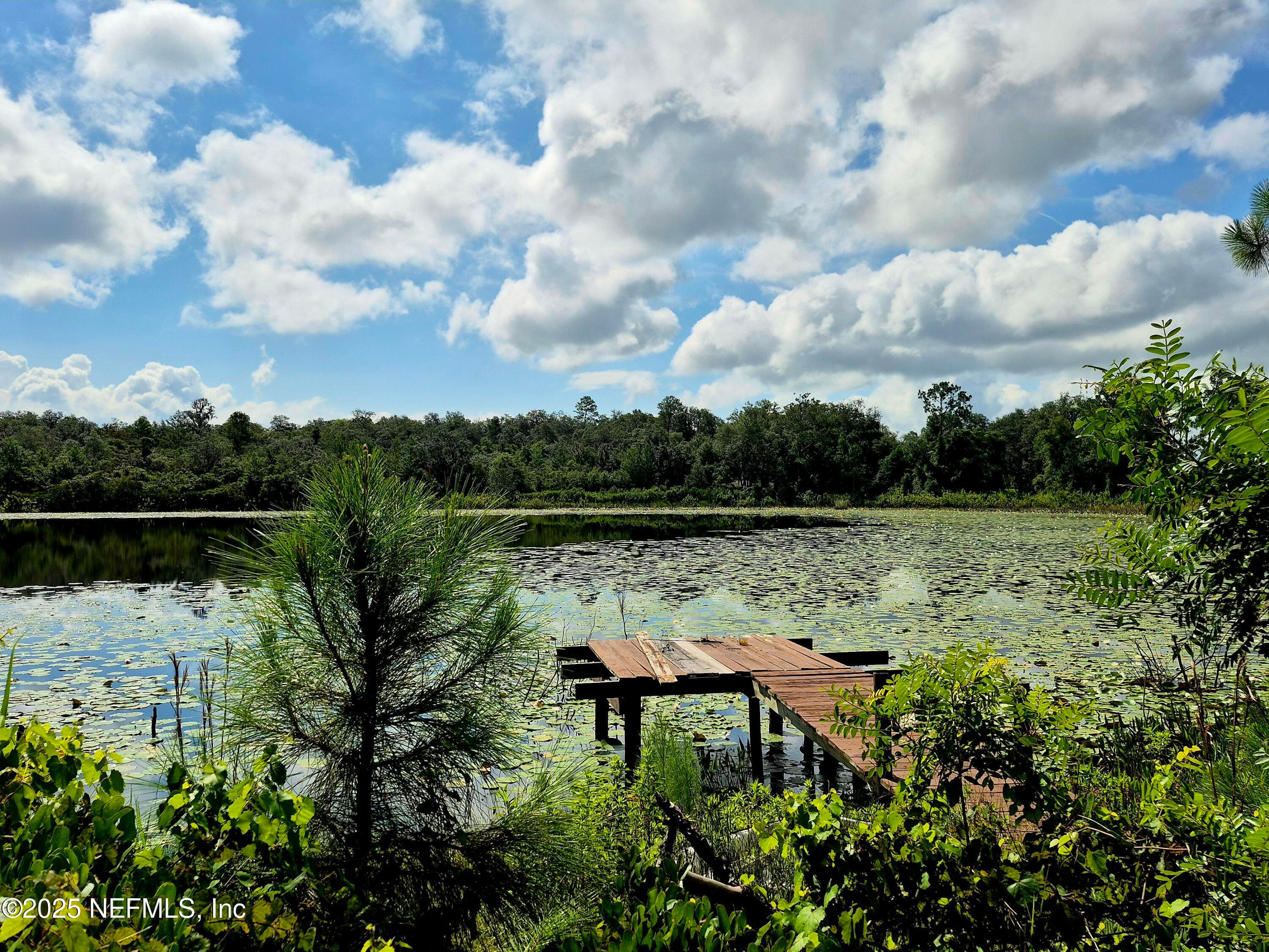 282 BYRD Road, Crescent City, FL 32112, Crescent City — photo 3
