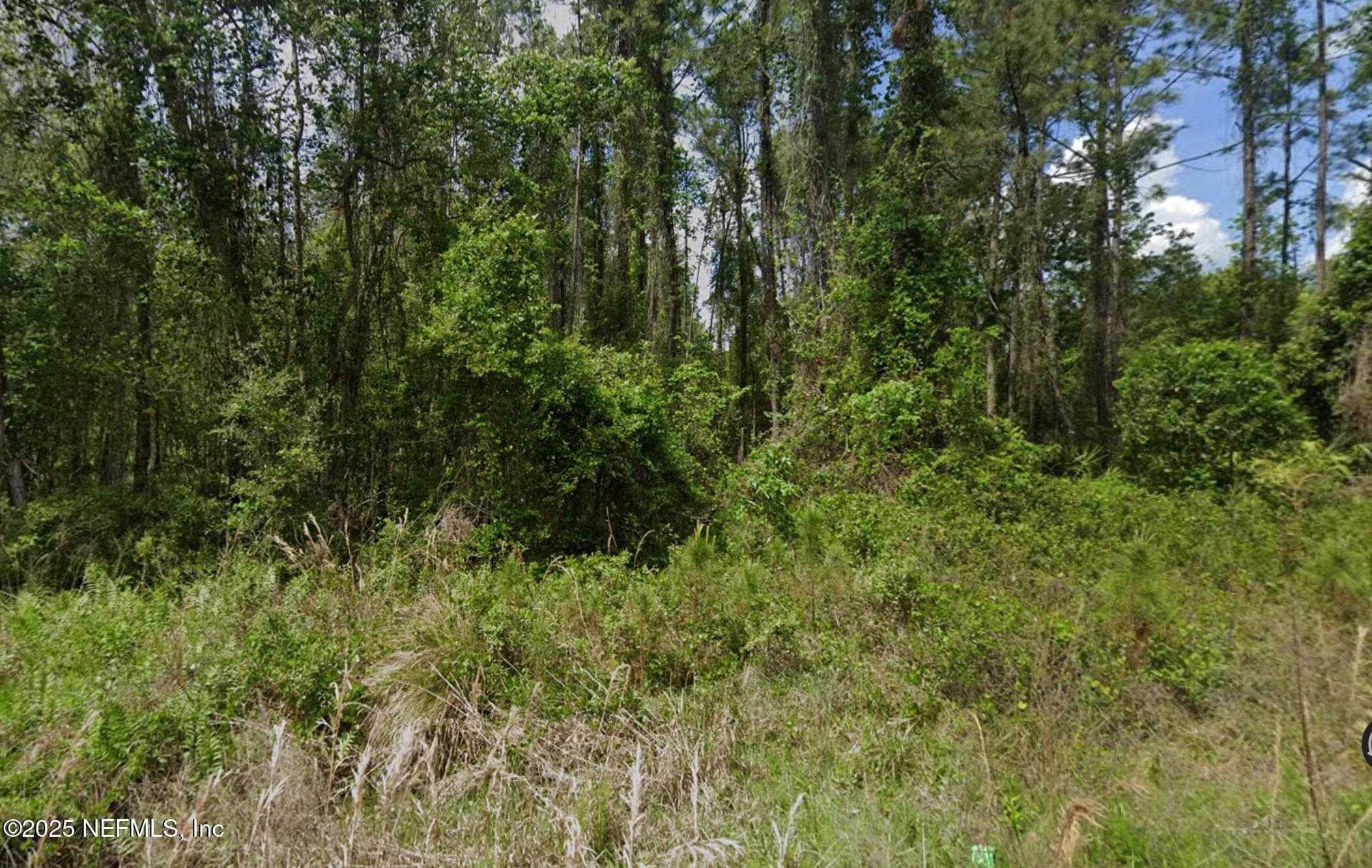 140 EDGEMERE Drive, Georgetown, FL 32139, Georgetown — photo 2