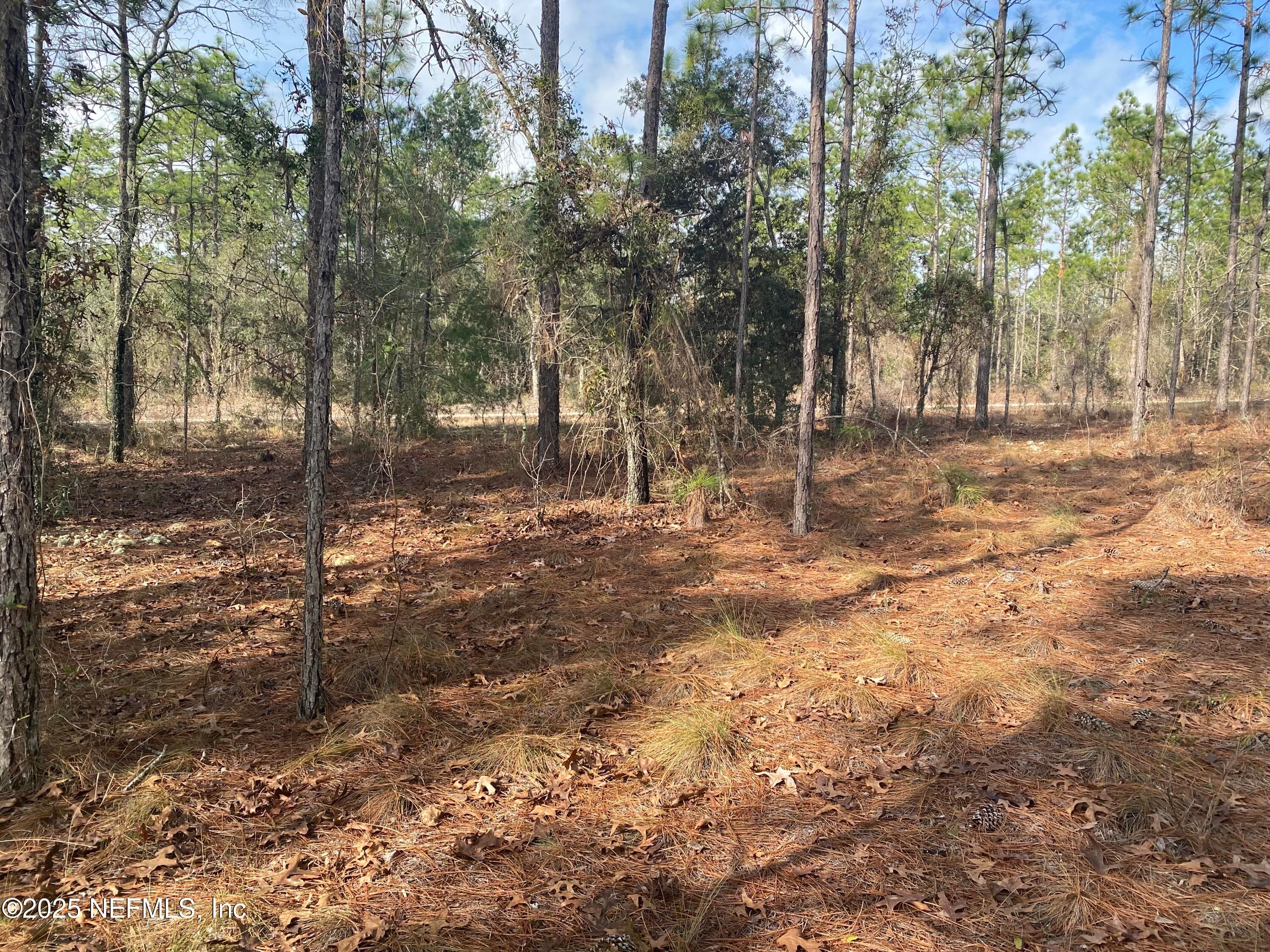 LOT 20 SW BUENA VISTA Road, Dunnellon, FL 34431, Dunnellon — photo 3
