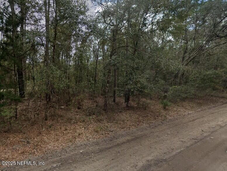 0 PILCHARD Road, Florahome, FL 32140, Florahome — photo 2