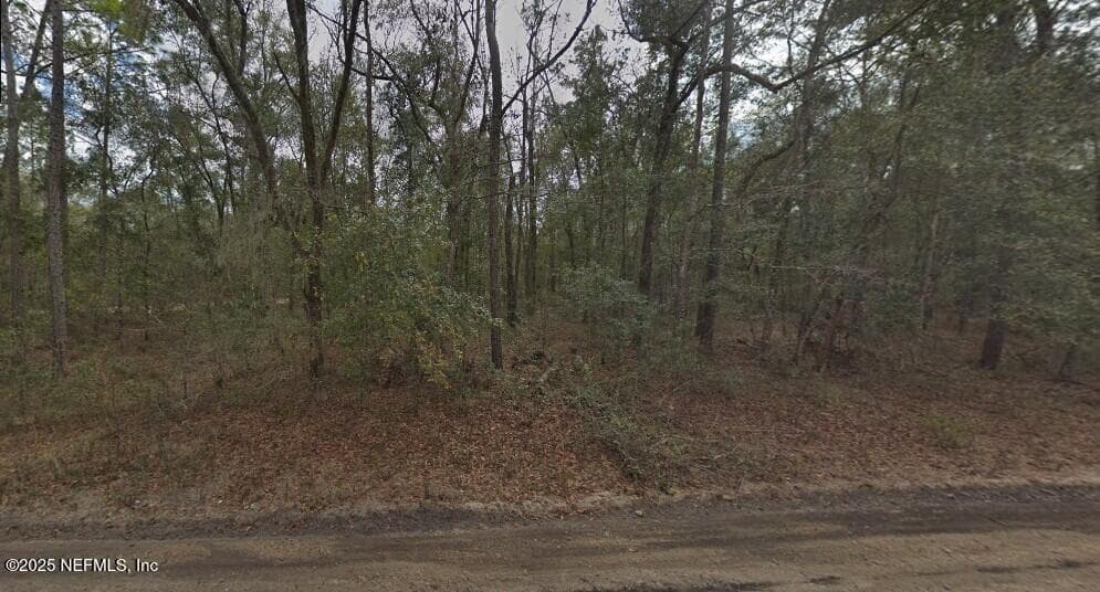 0 PILCHARD Road, Florahome, FL 32140, Florahome — photo 3