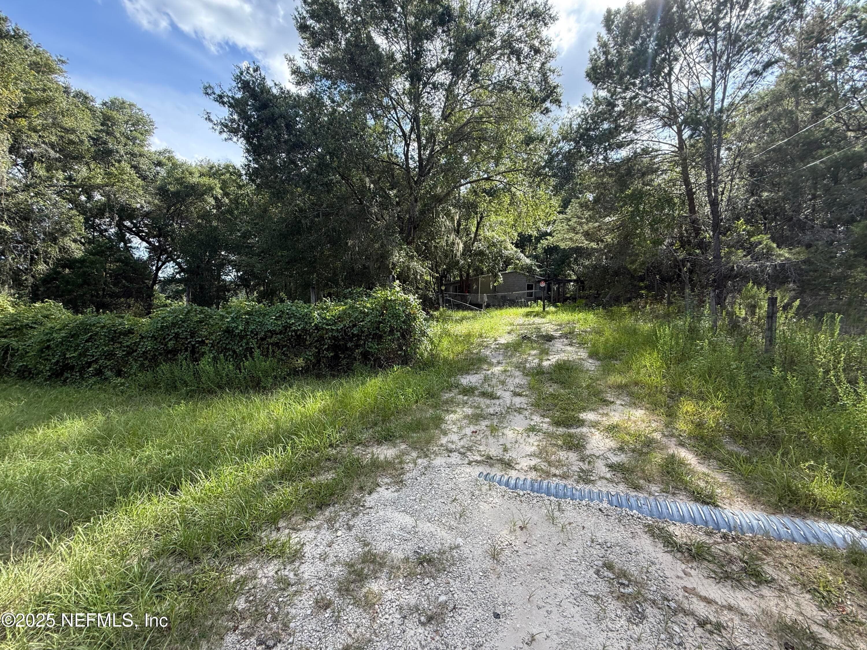 225 IVANHOE Drive, Satsuma, FL 32189, Satsuma — photo 3