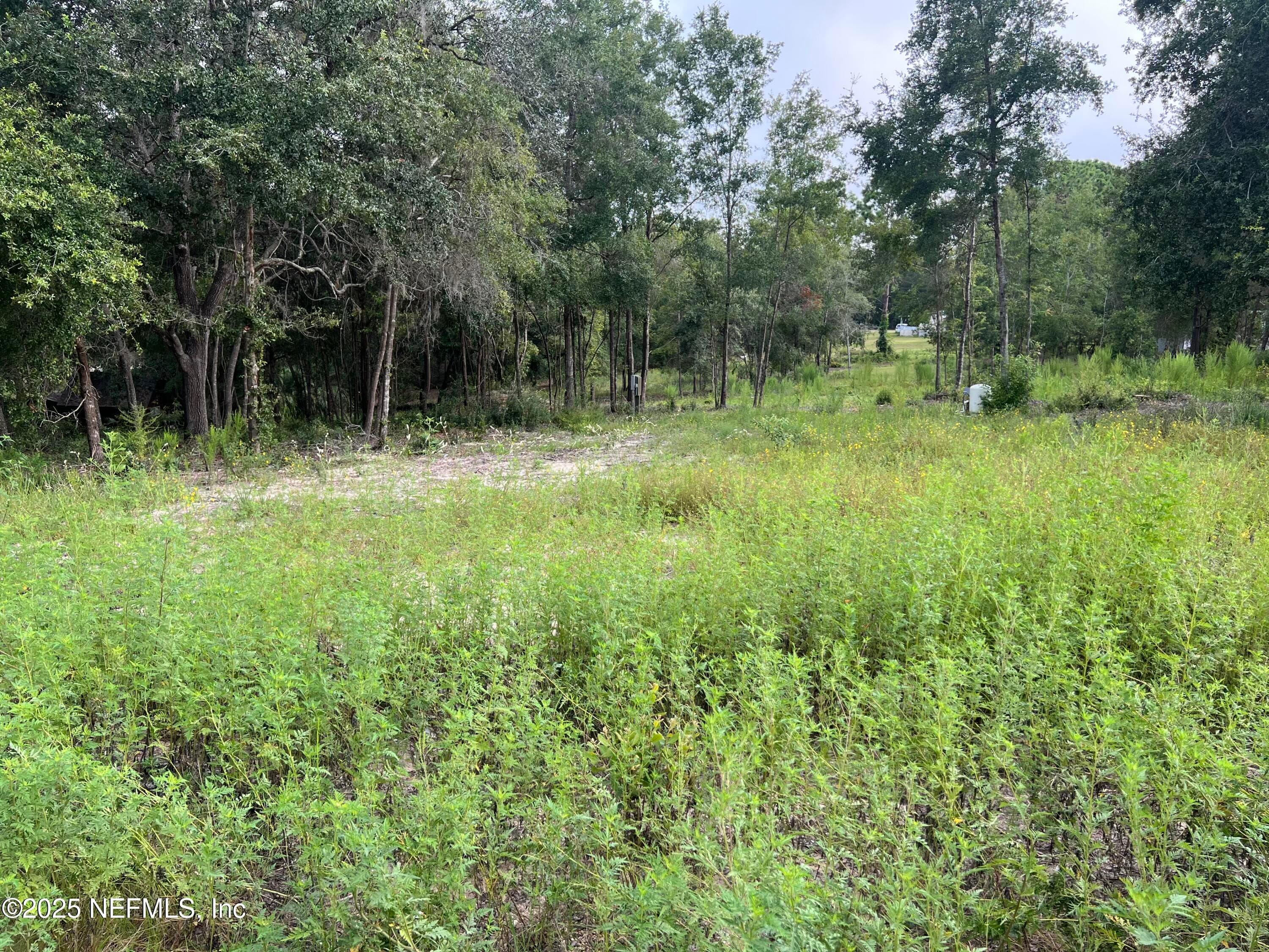 114 PLANTATION Way, Hawthorne, FL 32640, Hawthorne — photo 3