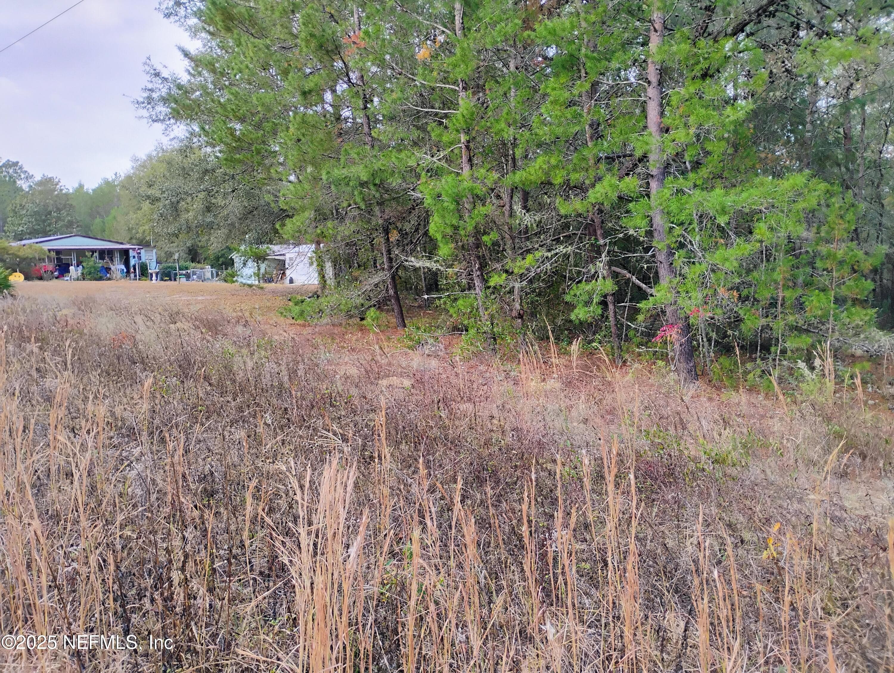 309 WILSON Drive, Interlachen — photo 2