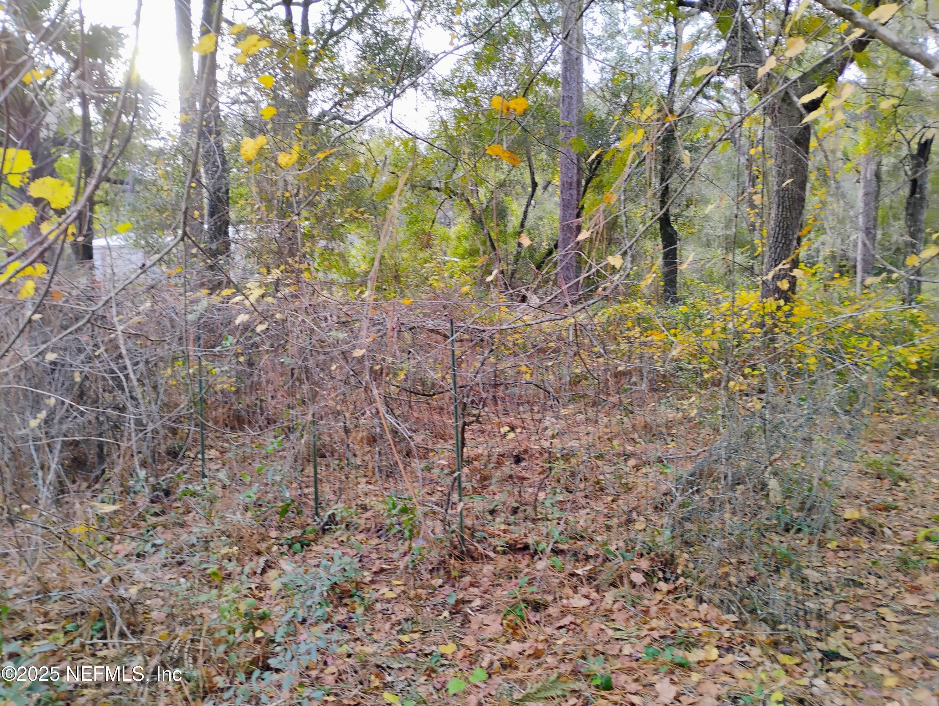 103 ANTLER Road, Interlachen — photo 3