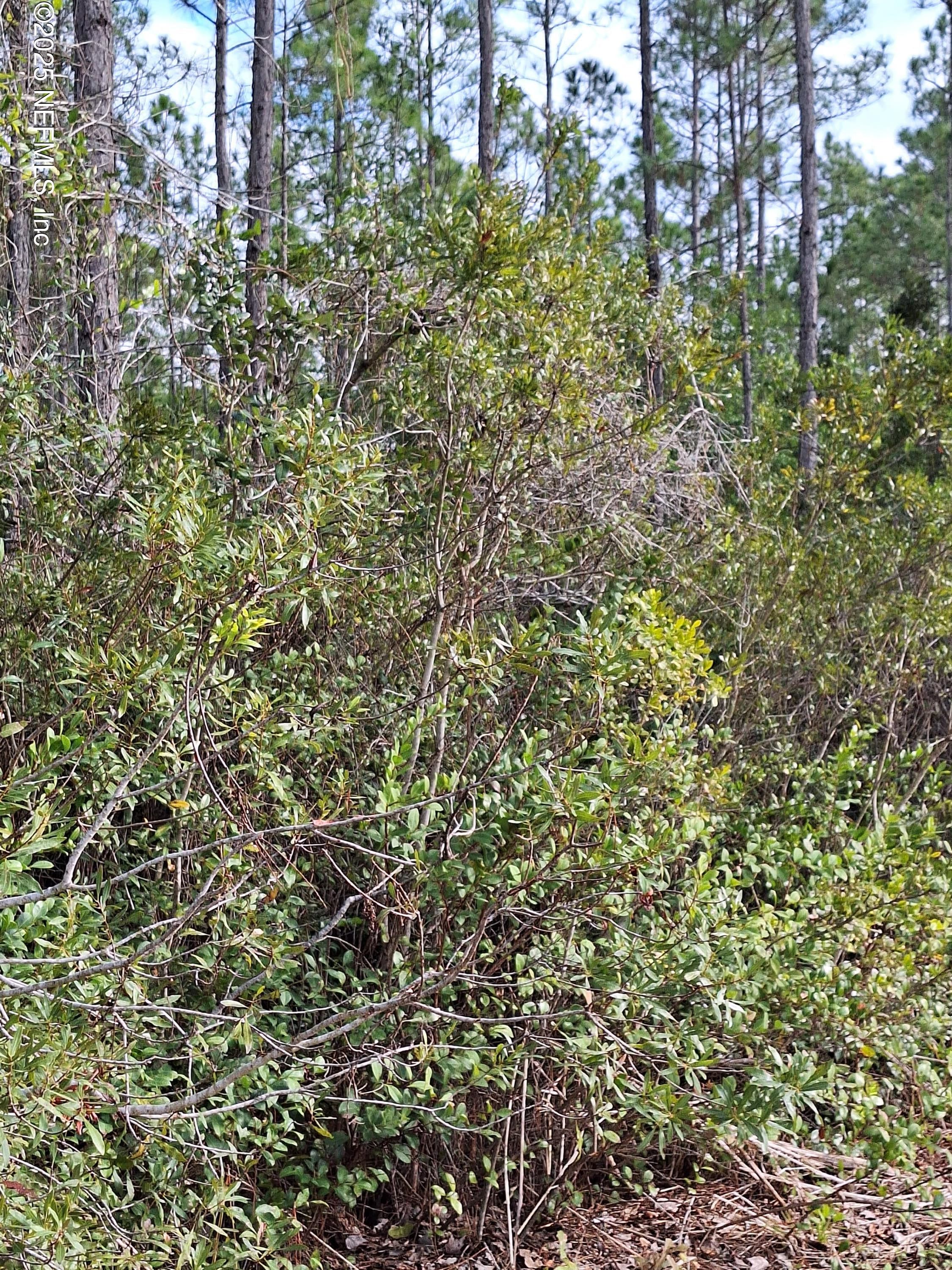 0 E ESCAMBIA State Road, Palatka, FL 32177, Palatka — exterior