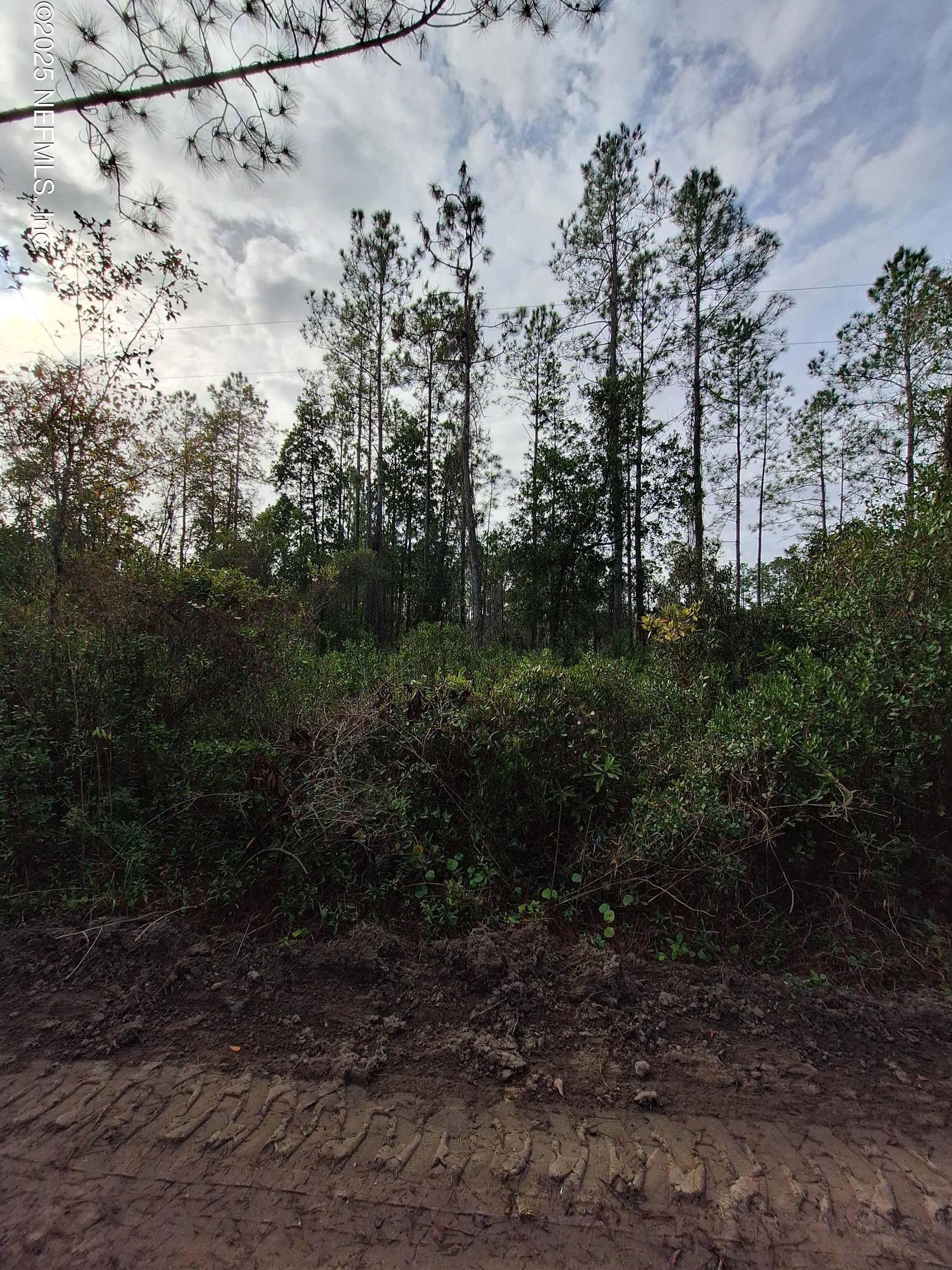 0 E ST JOHNS Street, Palatka, FL 32177, Palatka — exterior