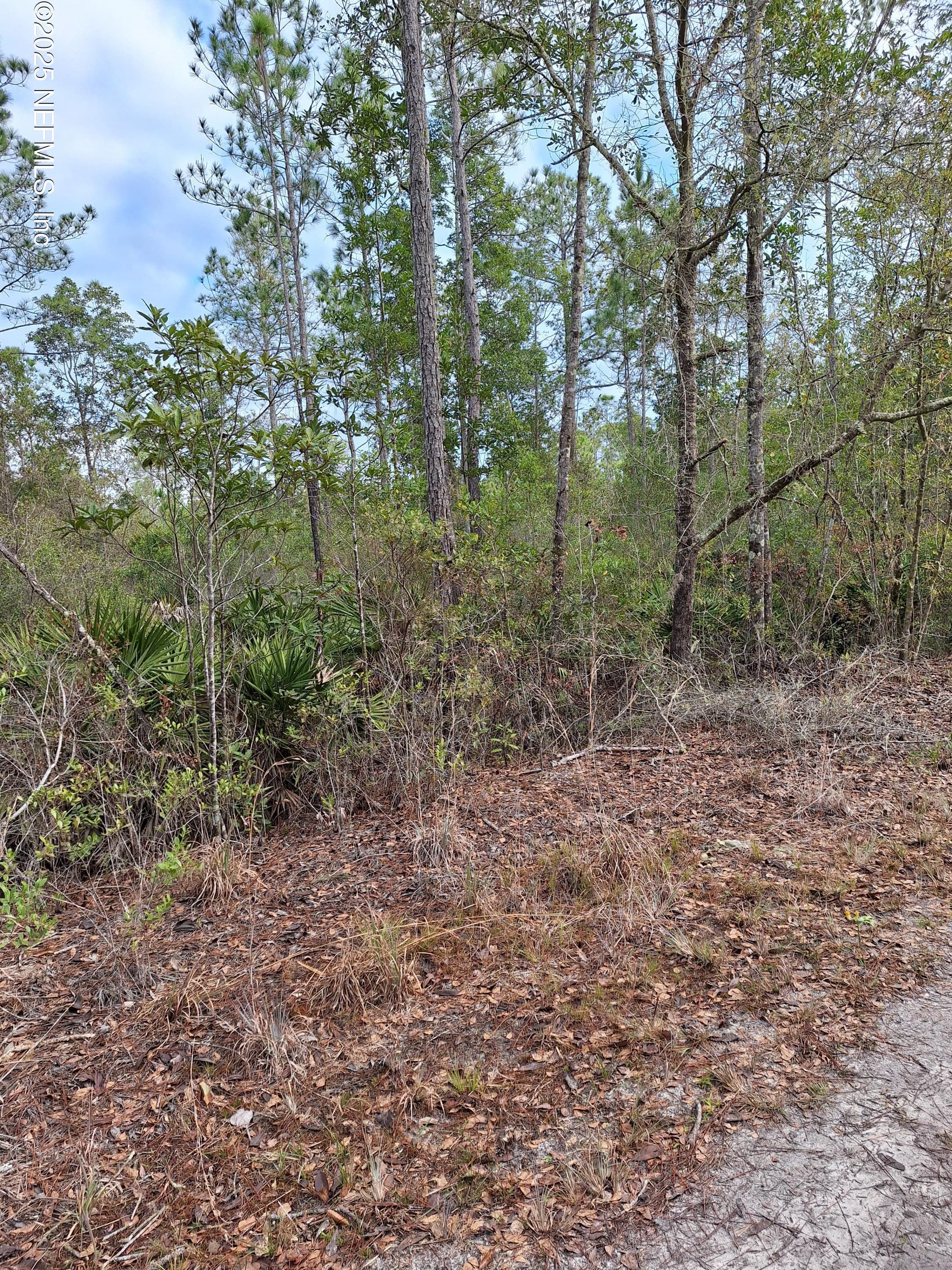00 E ST JOHNS State Road, Palatka, FL 32177, Palatka — exterior