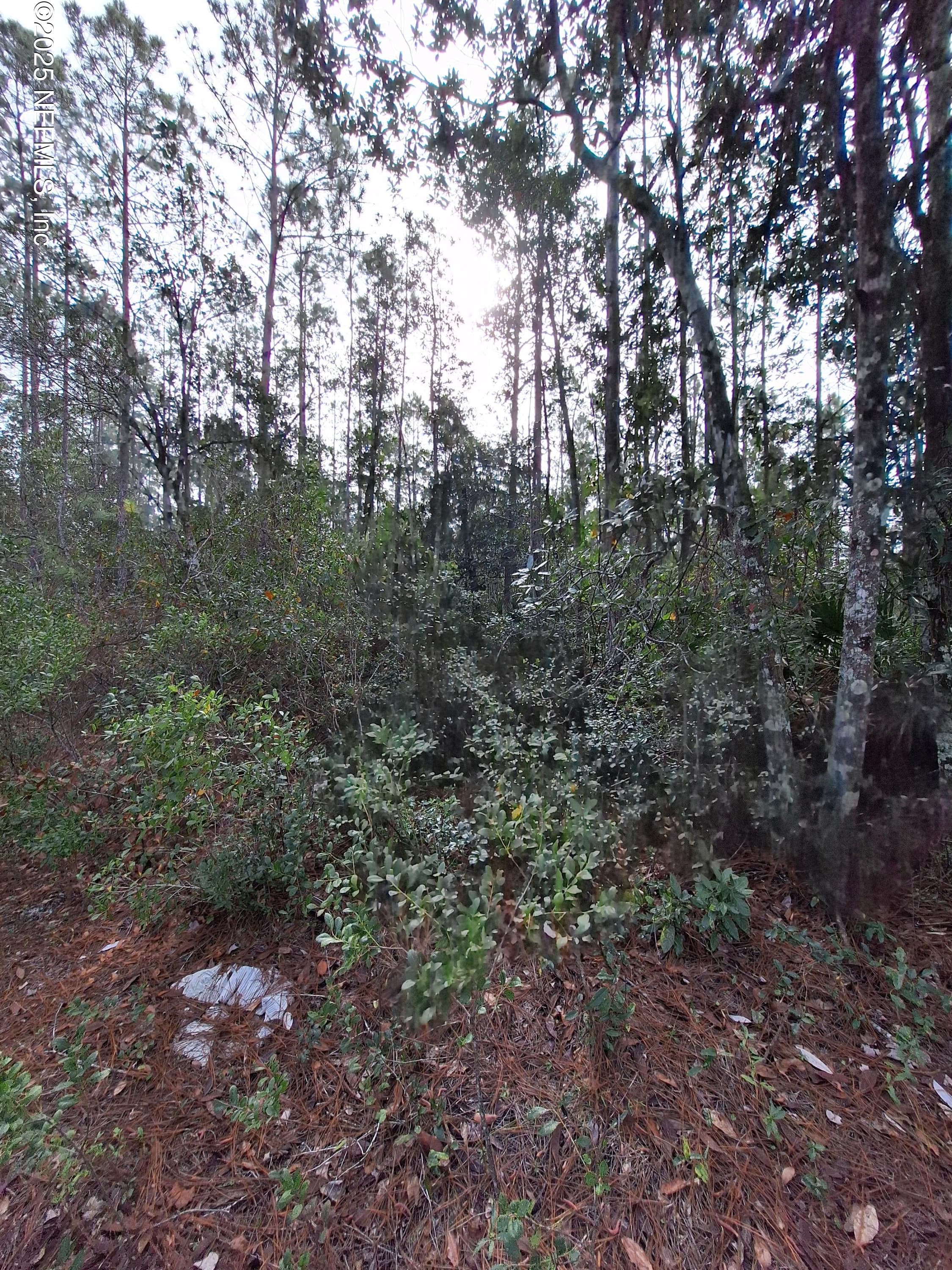 000 E ST JOHNS Street, Palatka, FL 32177, Palatka — exterior