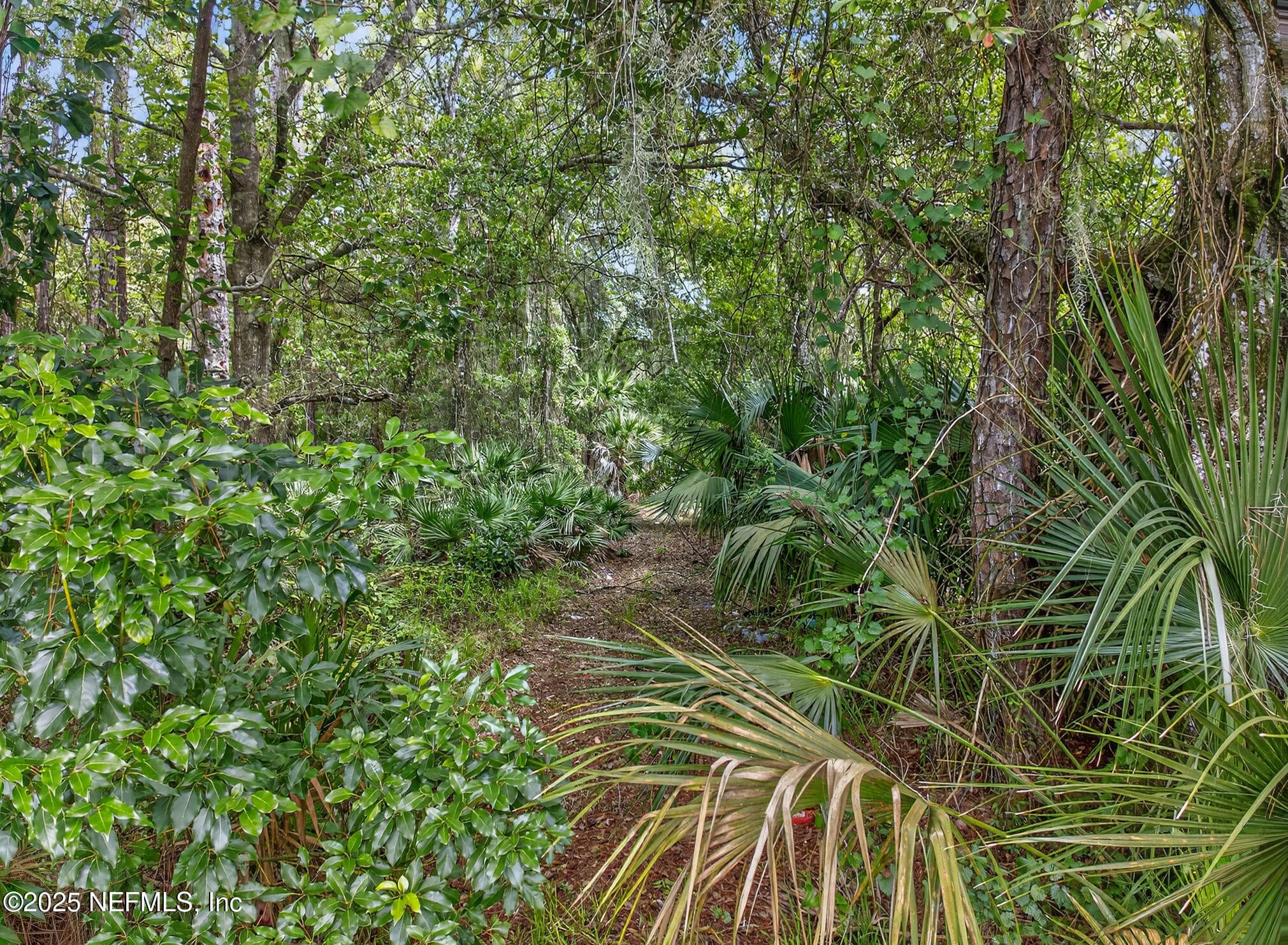 933 JOHN Street, St. Augustine, FL 32084, St. Augustine — exterior
