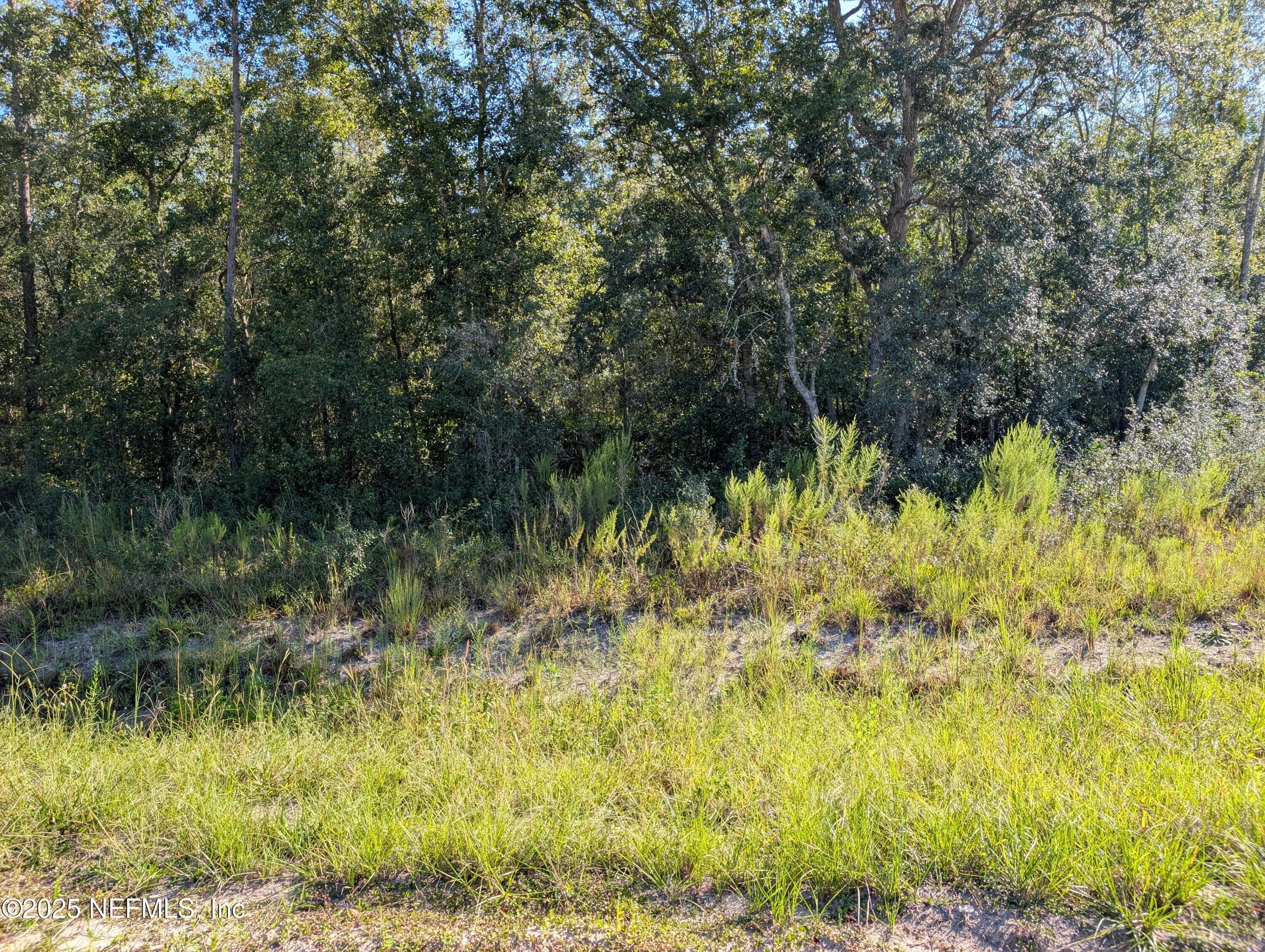 0010 CORDELL & BOUNDARY, Interlachen, FL 32148, Interlachen — photo 2