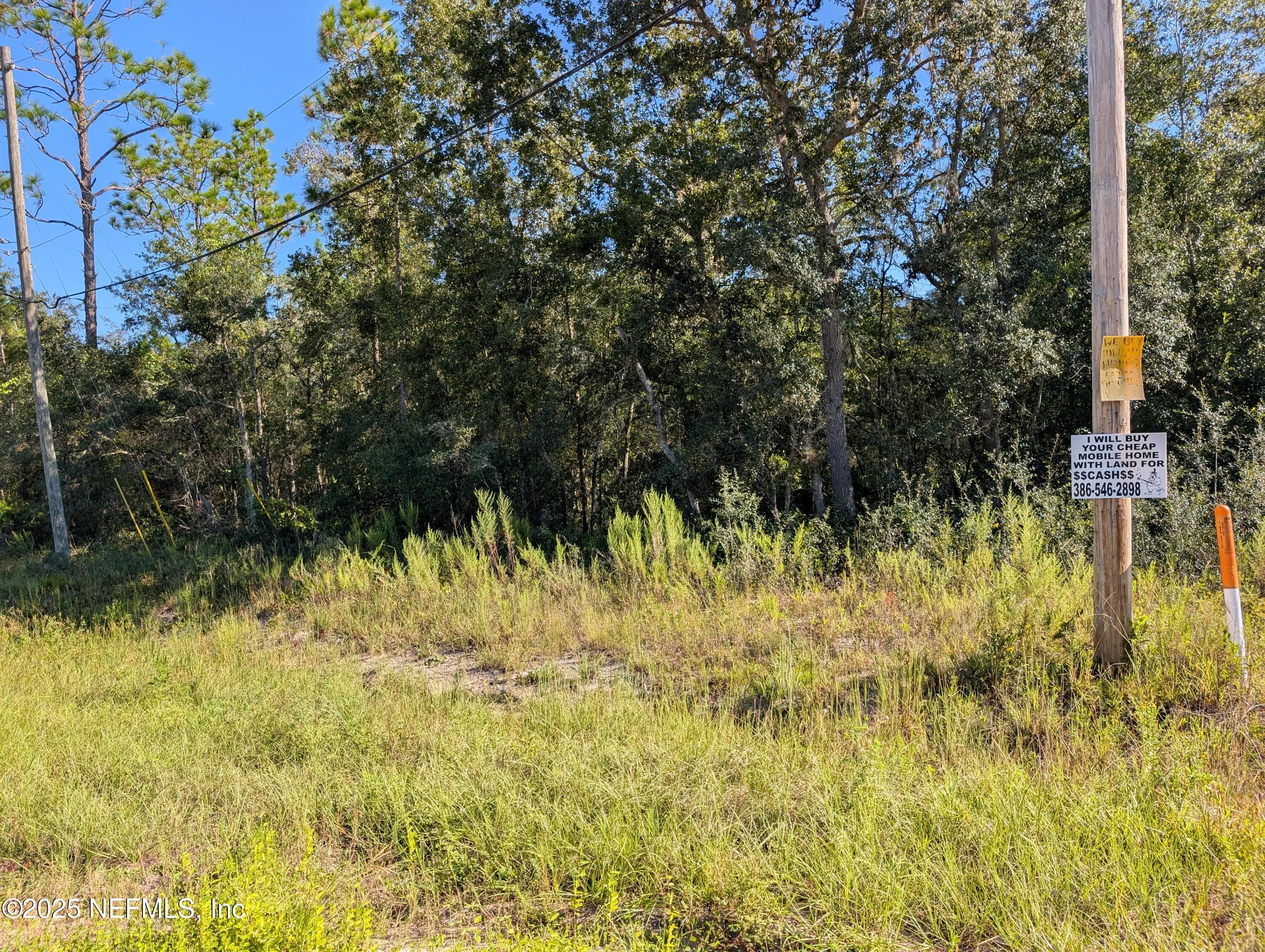 0010 CORDELL & BOUNDARY, Interlachen, FL 32148, Interlachen — photo 3