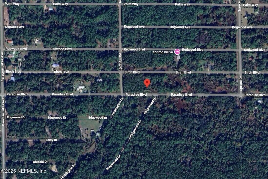 806 PARADISE Boulevard, Georgetown, FL 32139, Georgetown — photo 3