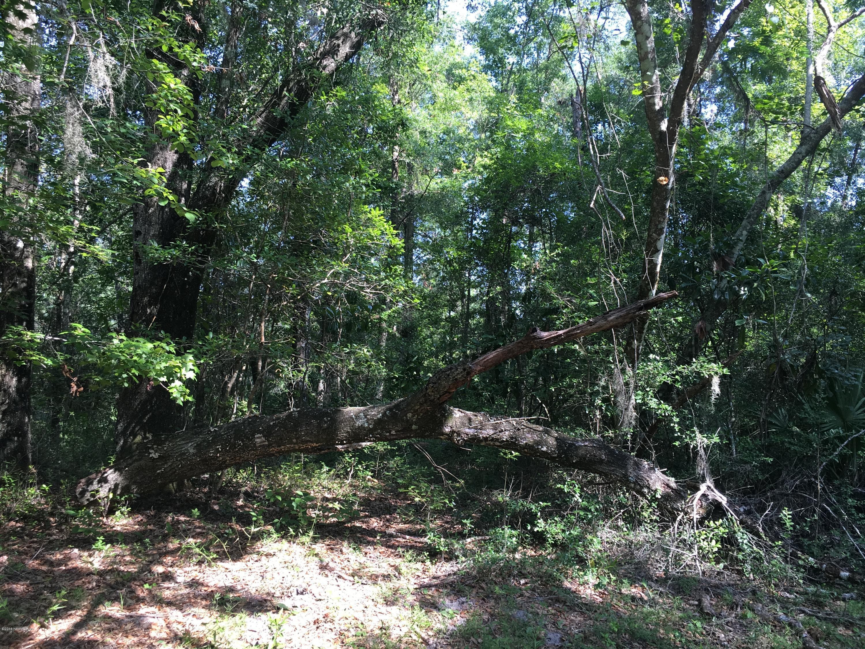 00 BLACK CREEK TRACT, Middleburg — photo 2