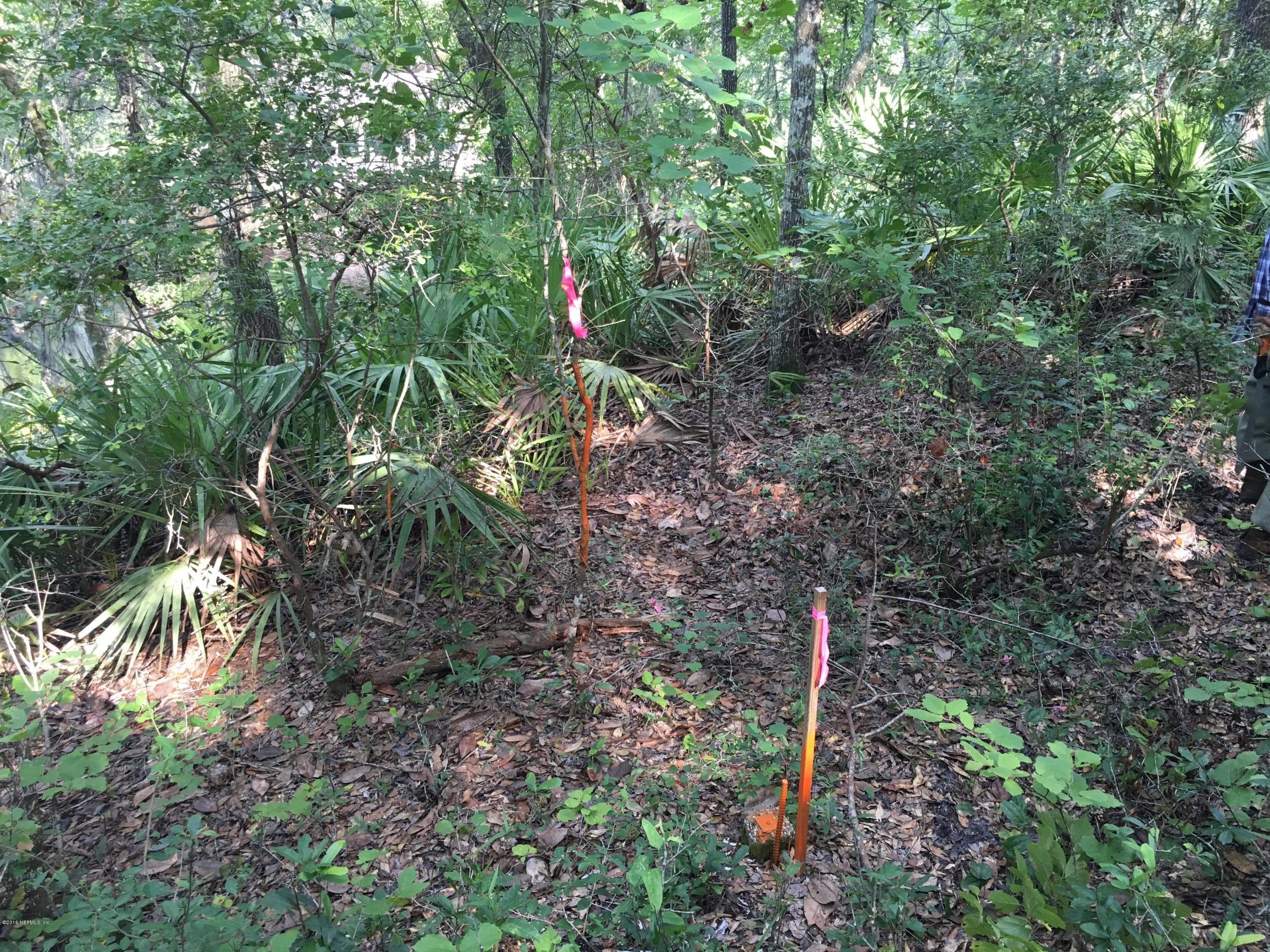 00 BLACK CREEK TRACT, Middleburg — photo 3