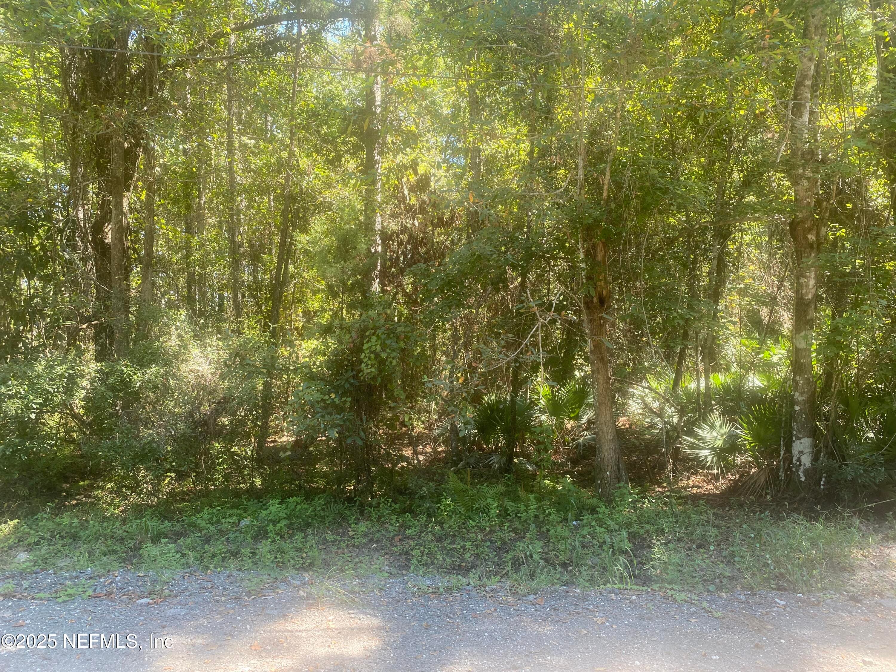0 HARPER CHAPEL Road, Yulee, FL 32097, Yulee — photo 2