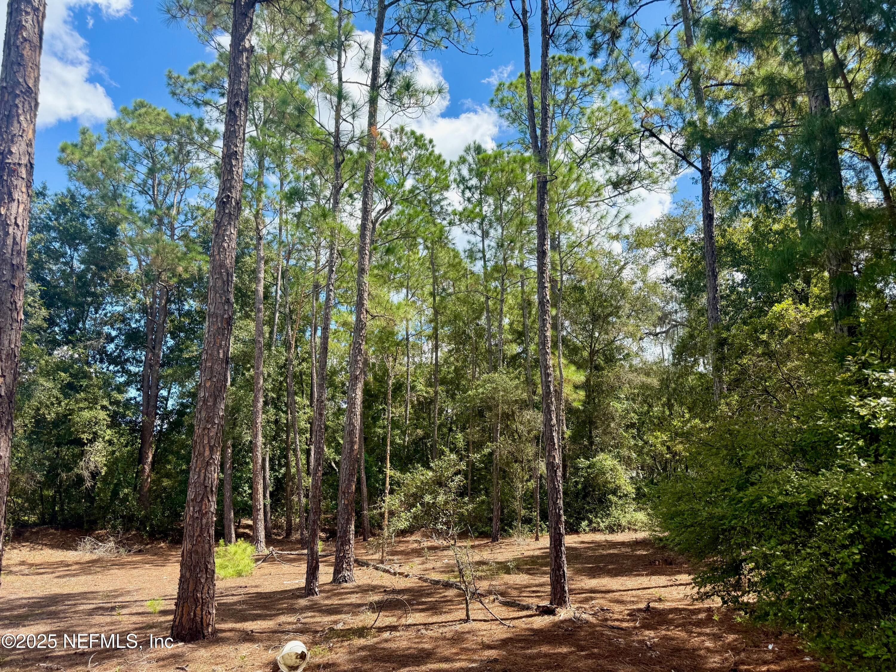 XXX NETTLES Road, Florahome, FL 32140, Florahome — photo 2