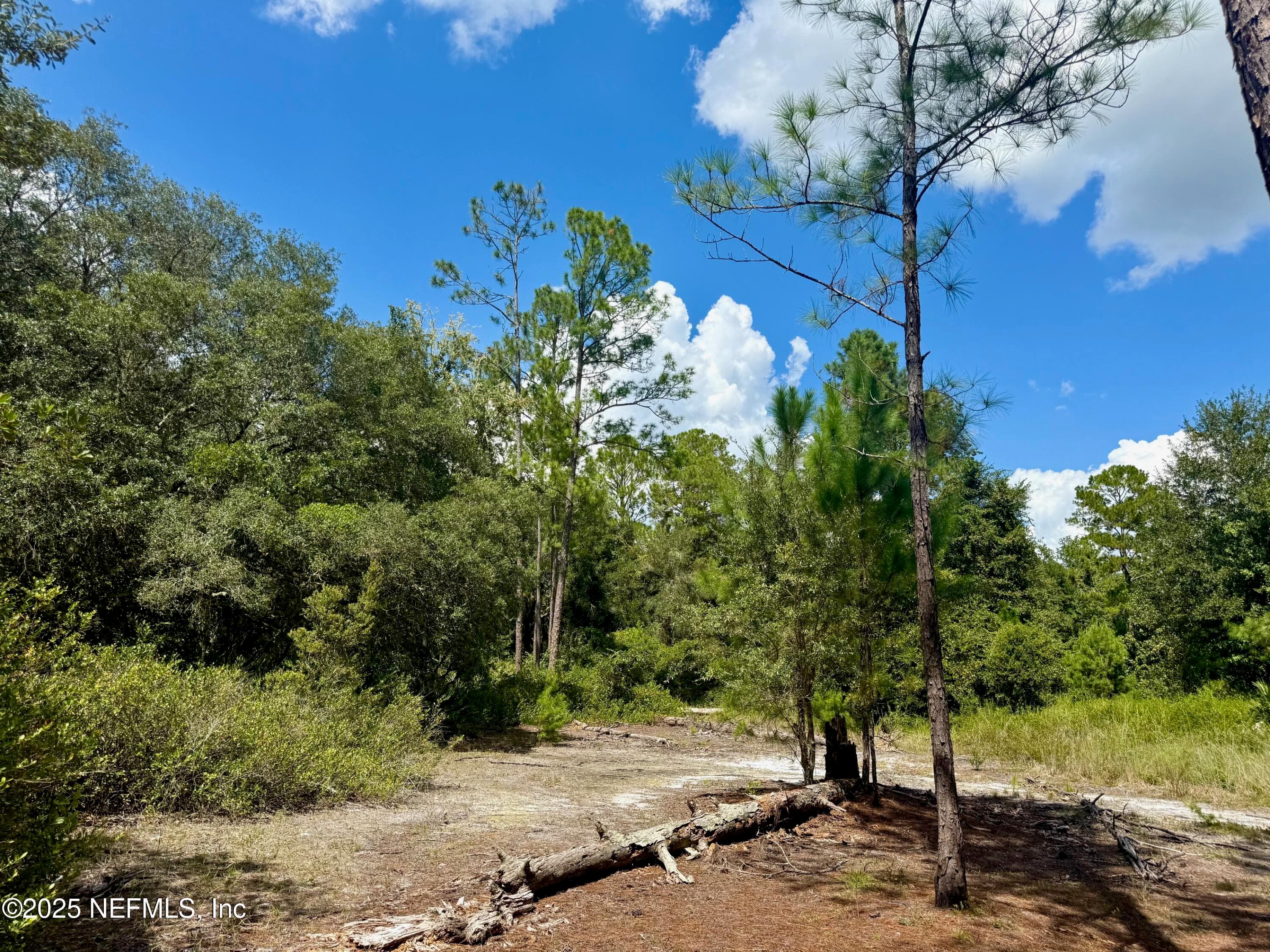 XXX NETTLES Road, Florahome, FL 32140, Florahome — exterior