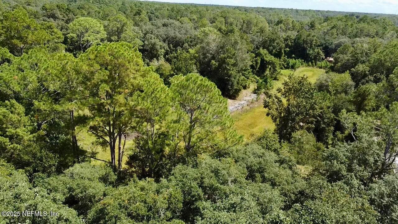 XXX NETTLES Road, Florahome, FL 32140, Florahome — photo 3