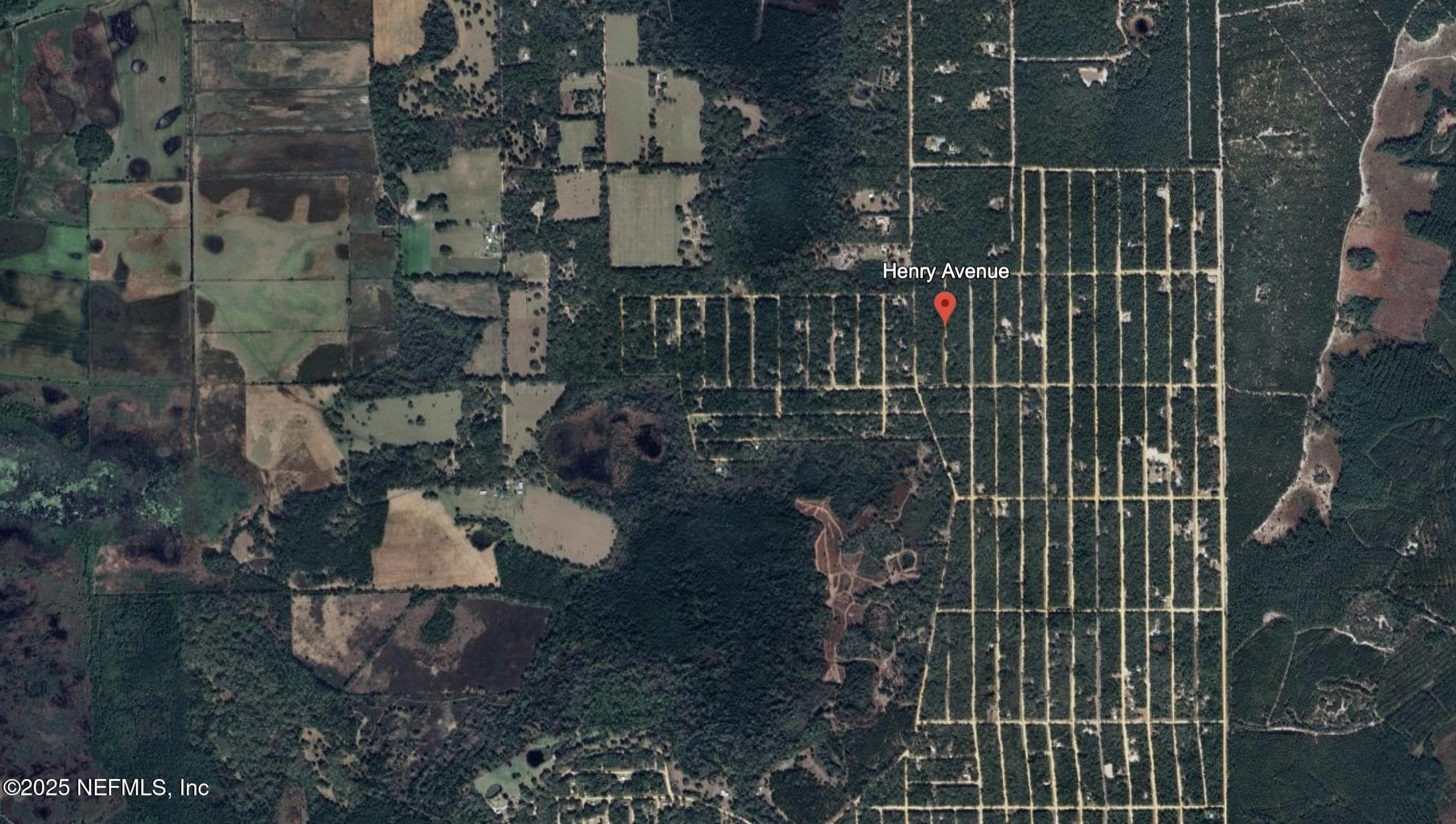 00 HENRY AVE Avenue, Interlachen, FL 32148, Interlachen — photo 3