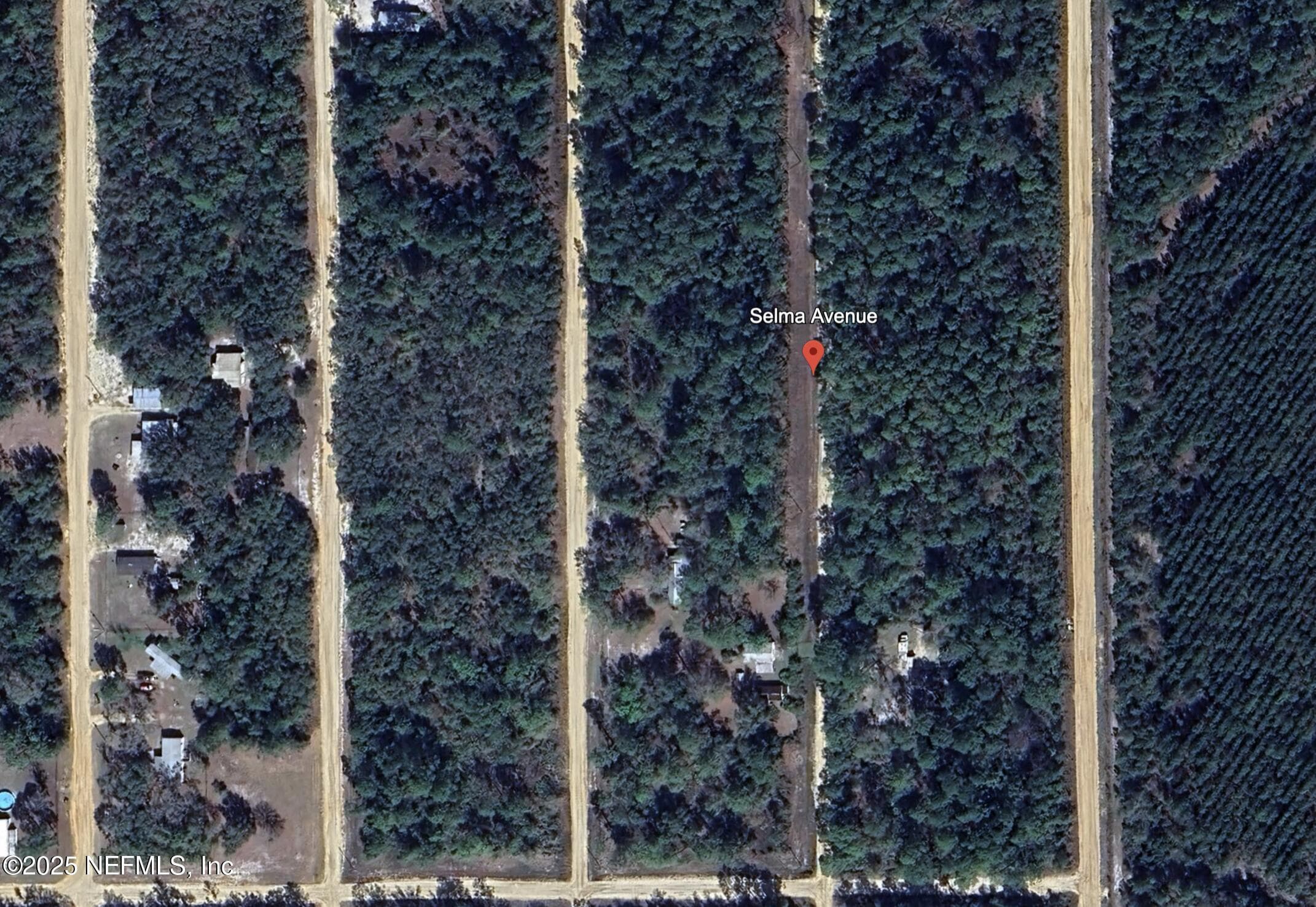 00 SELMA Avenue, Interlachen — photo 2
