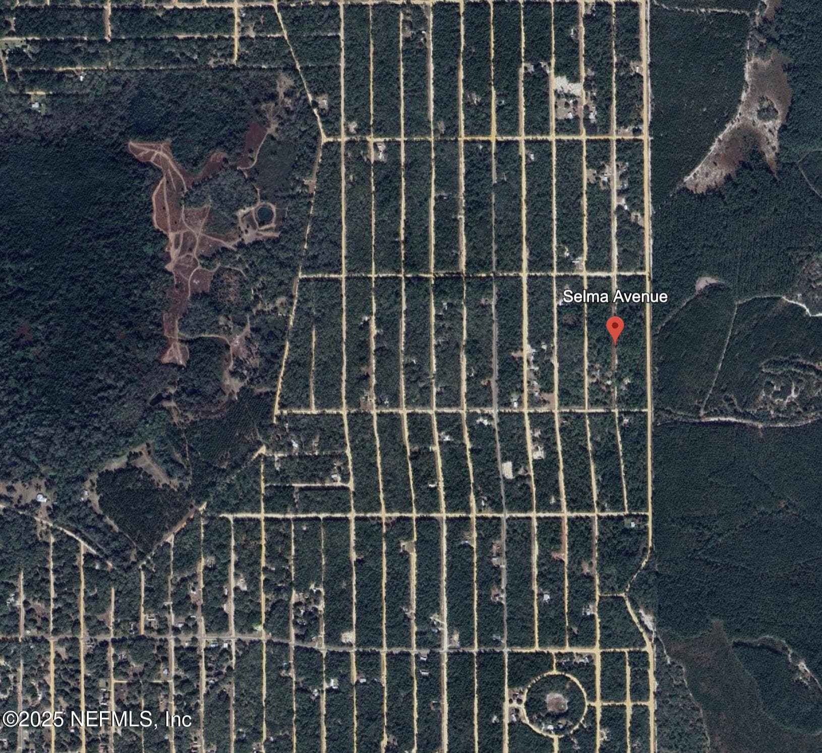 00 SELMA Avenue, Interlachen — photo 3