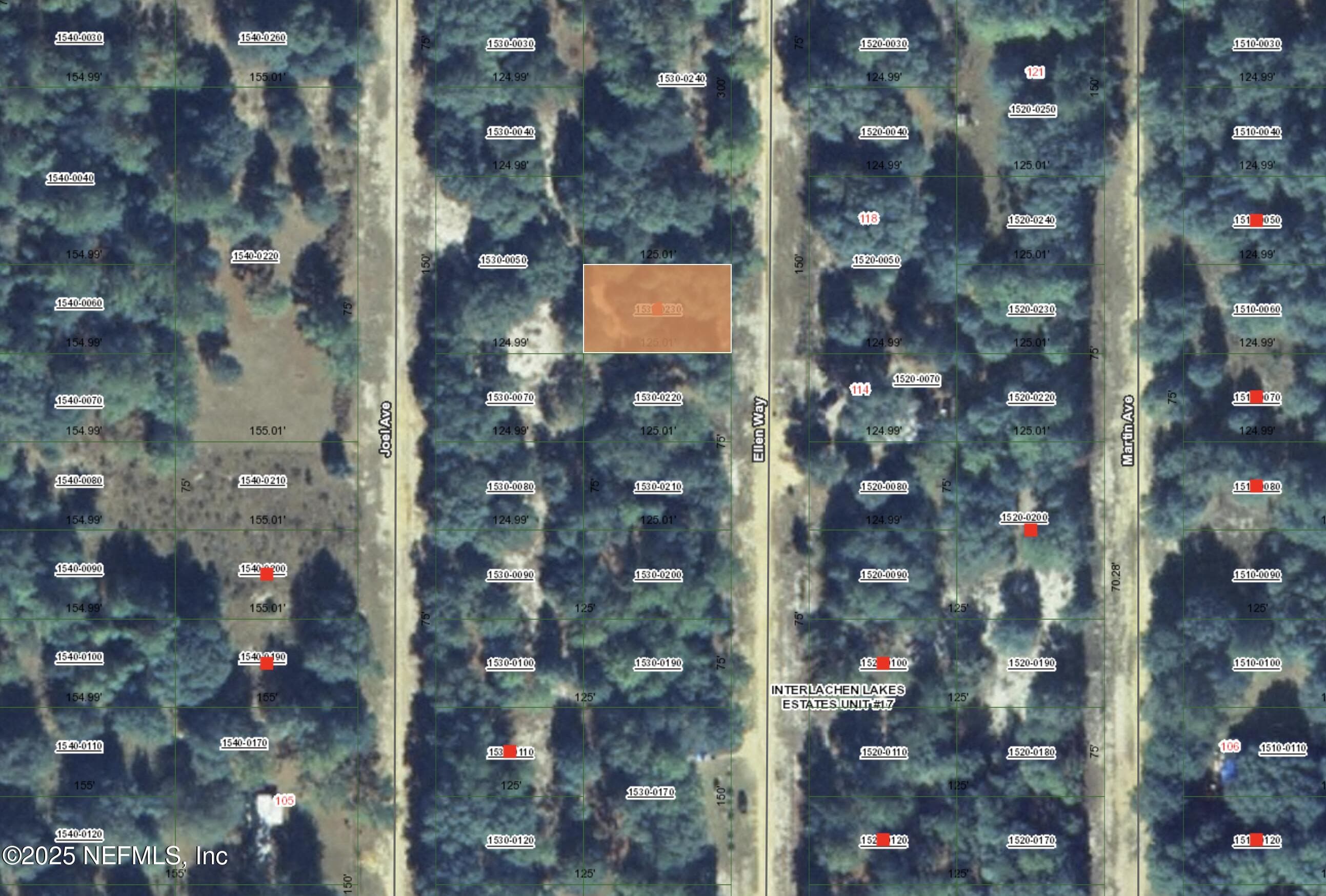 00 ELLEN Way, Interlachen, FL 32148, Interlachen — photo 2