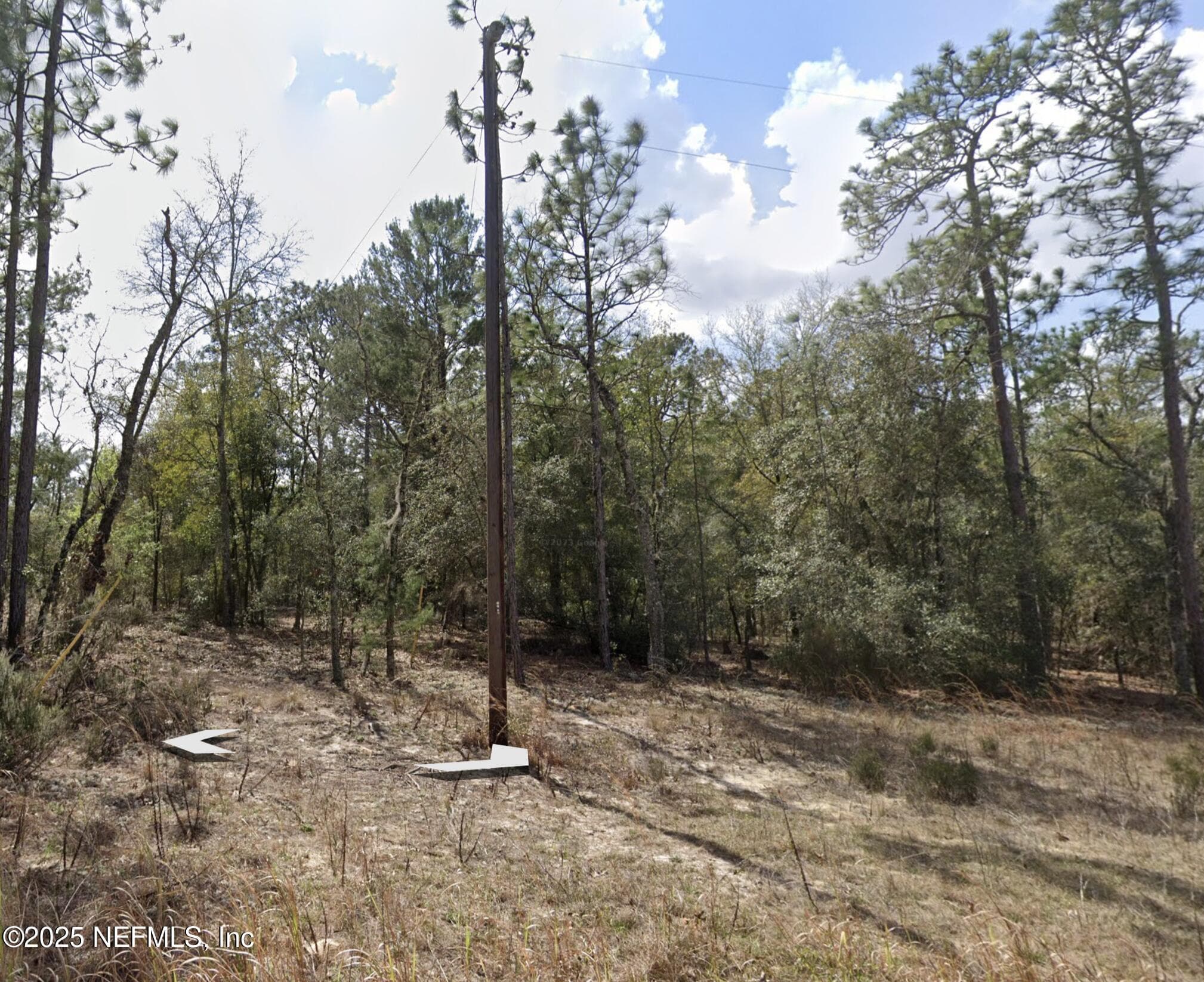 00 FERN Avenue, Interlachen, FL 32148, Interlachen — photo 2