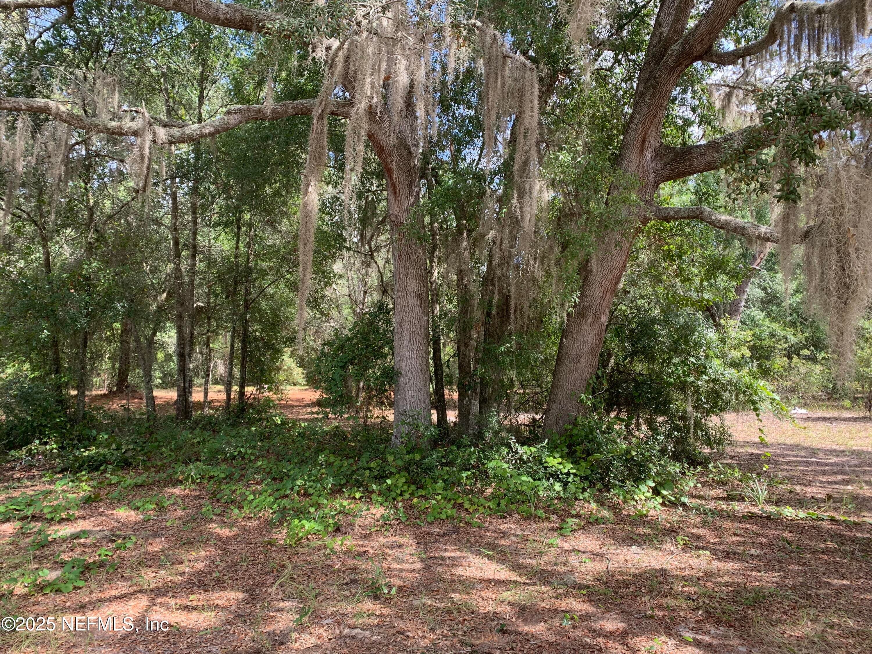 114 & 116 WILLOW Street, Hawthorne, FL 32640, Hawthorne — photo 2