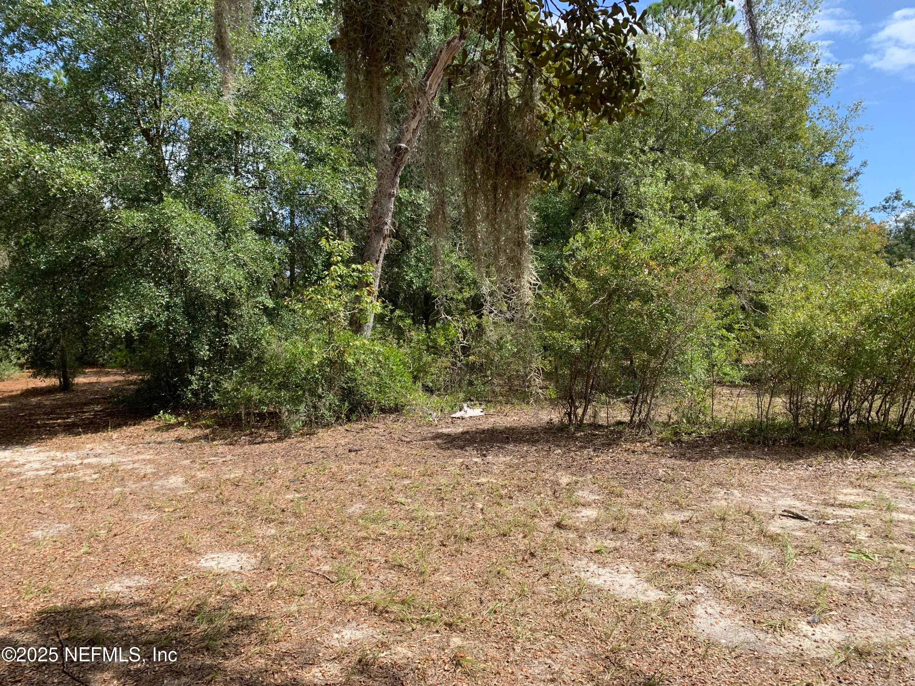 114 & 116 WILLOW Street, Hawthorne, FL 32640, Hawthorne — photo 3
