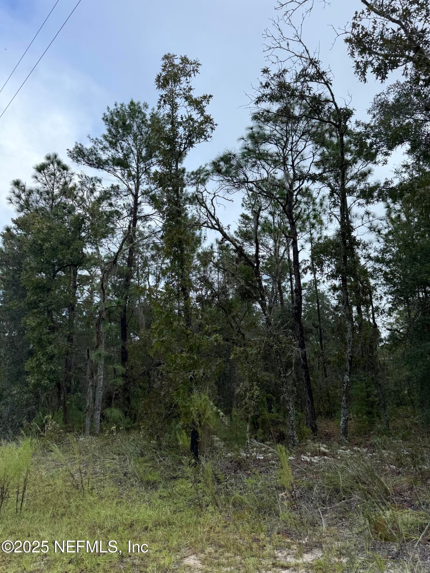 5830 CAMPO Drive, Keystone Heights, FL 32656, Keystone Heights — photo 2