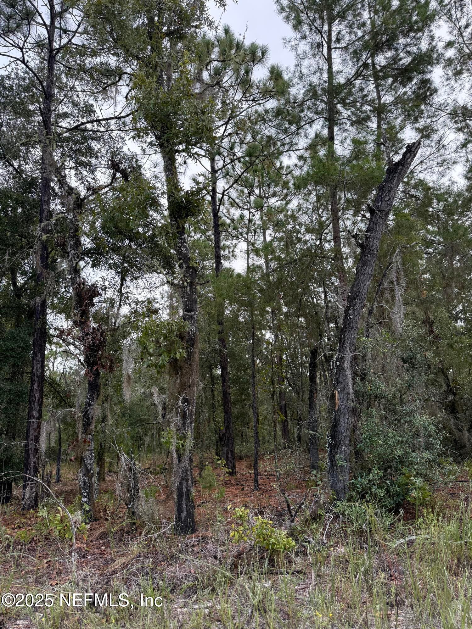 5830 CAMPO Drive, Keystone Heights, FL 32656, Keystone Heights — photo 3