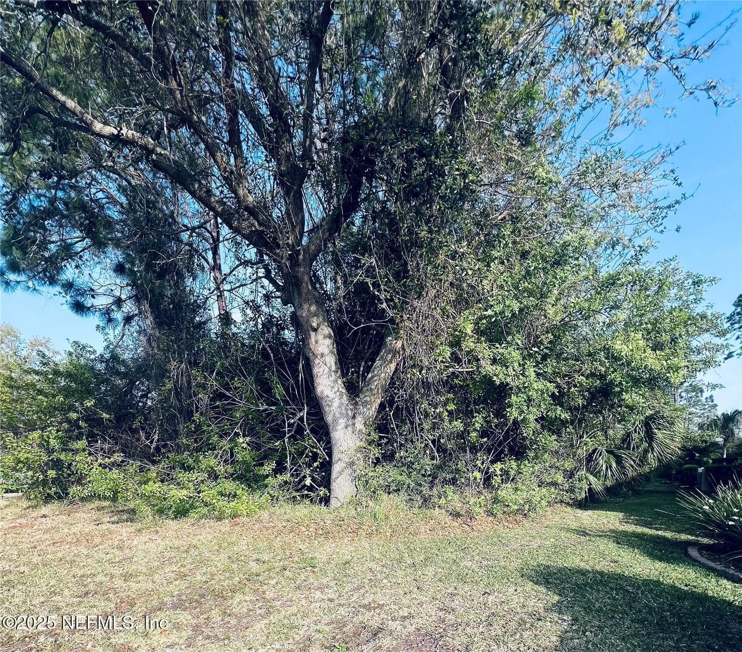 91 EMERALD LAKE Drive, Palm Coast, FL 32137, Palm Coast — photo 2