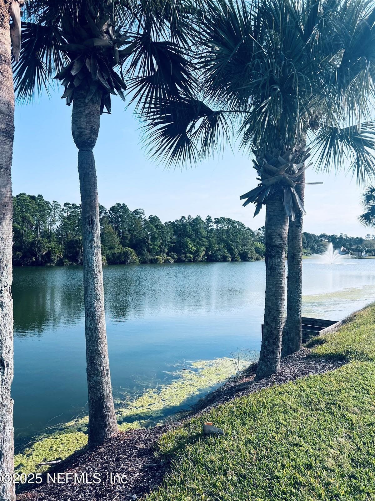 91 EMERALD LAKE Drive, Palm Coast, FL 32137, Palm Coast — photo 3