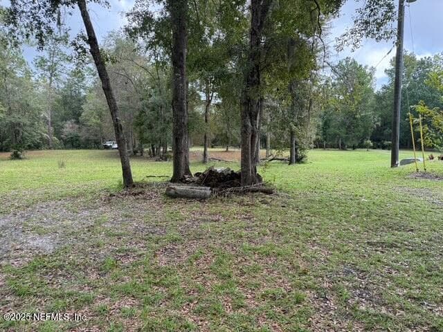 0 SKIPPER Road, Middleburg, FL 32068, Middleburg — photo 3
