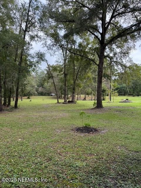 0 SKIPPER Road, Middleburg, FL 32068, Middleburg — photo 2