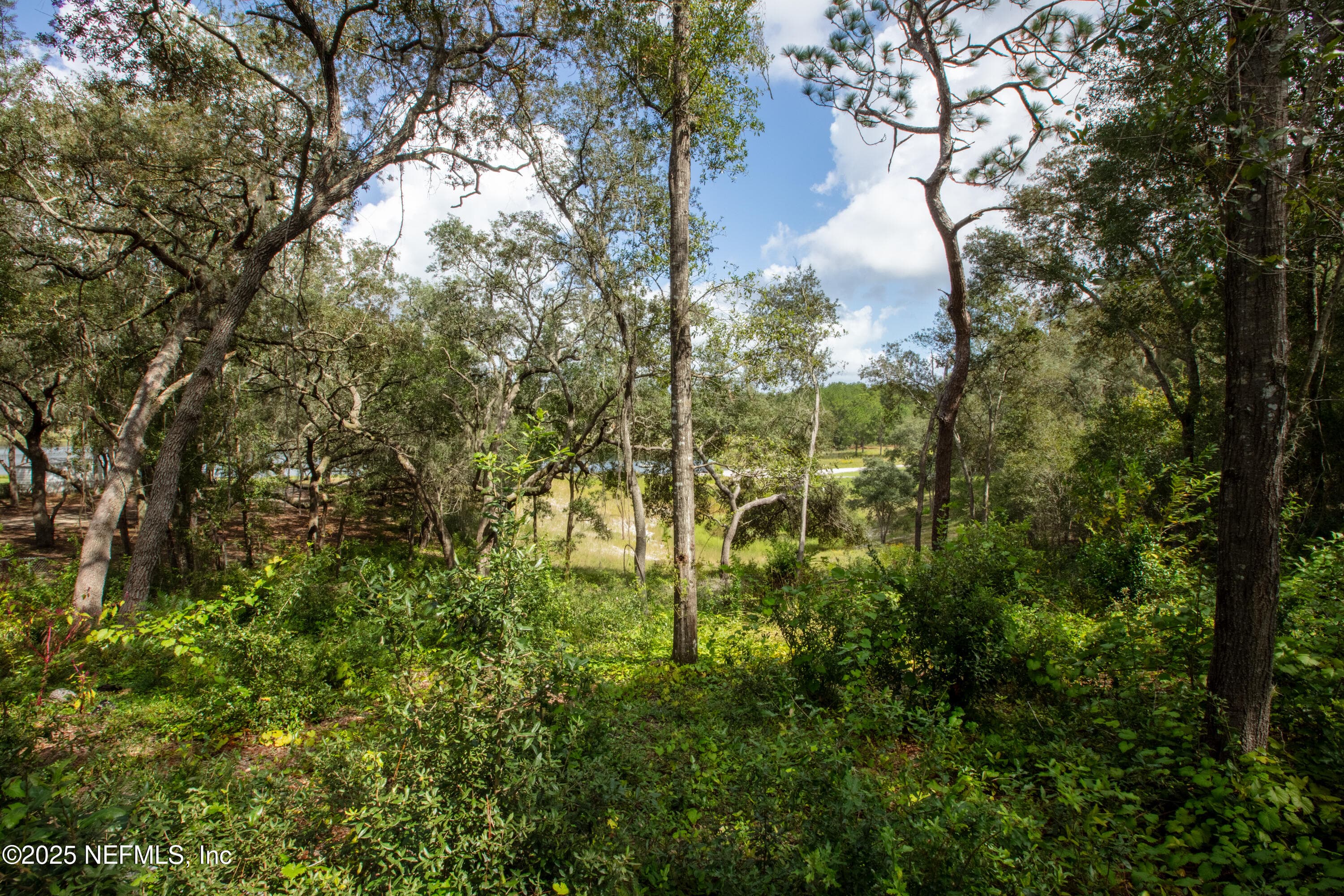 6956 DEER SPRINGS Road, Keystone Heights, FL 32656, Keystone Heights — photo 3