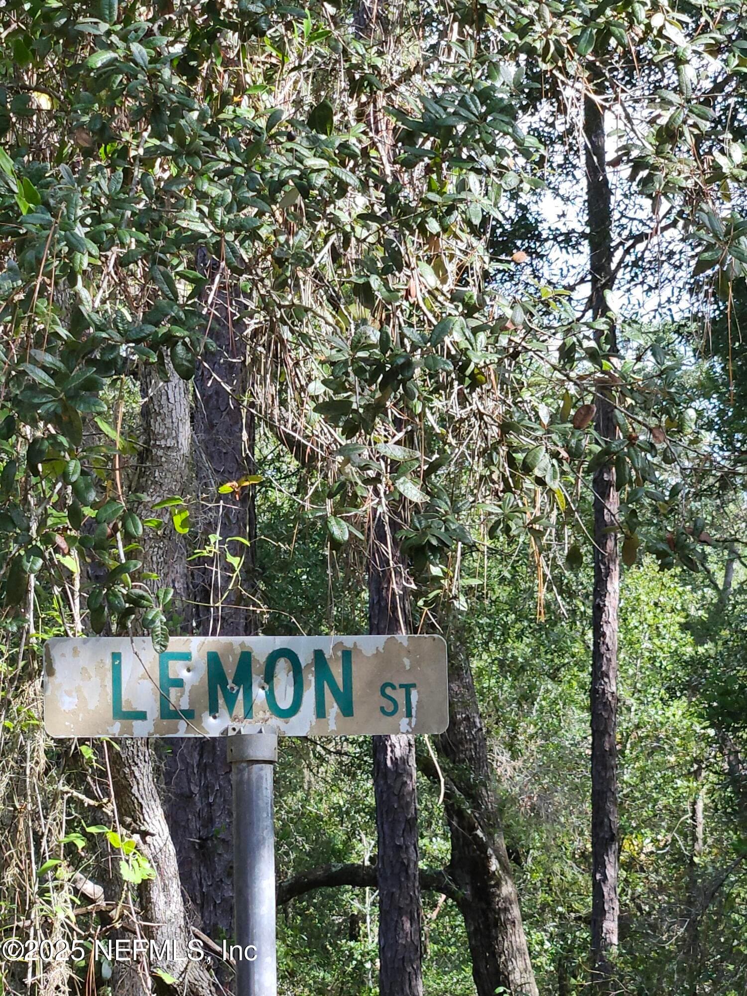 136 LEMON Street, Pomona Park, FL 32181, Pomona Park — photo 2