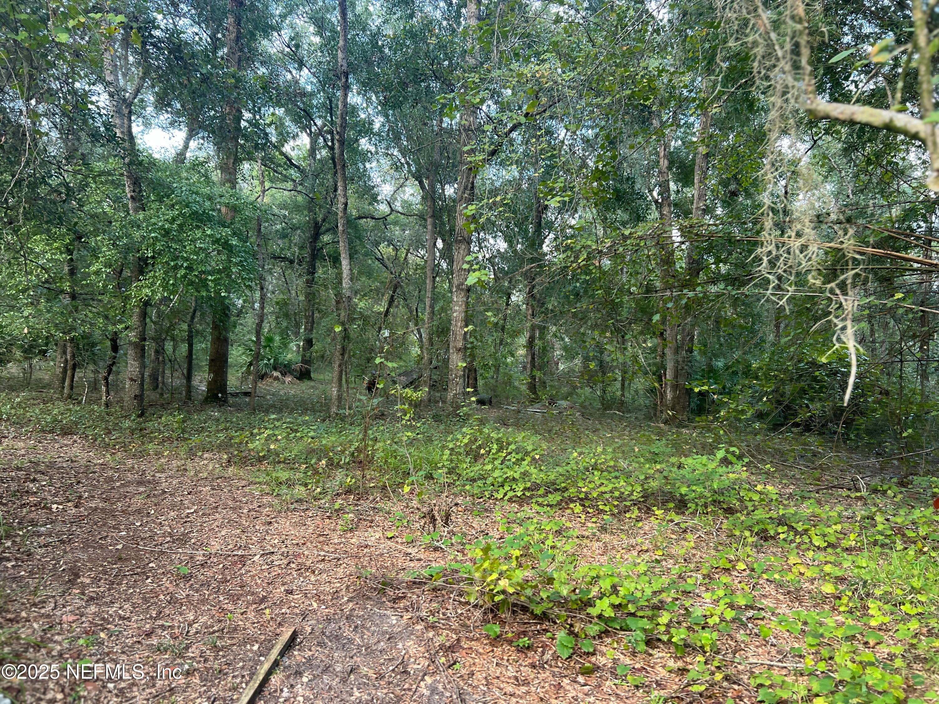126 WILLOW Lane, Hawthorne, FL 32640, Hawthorne — exterior