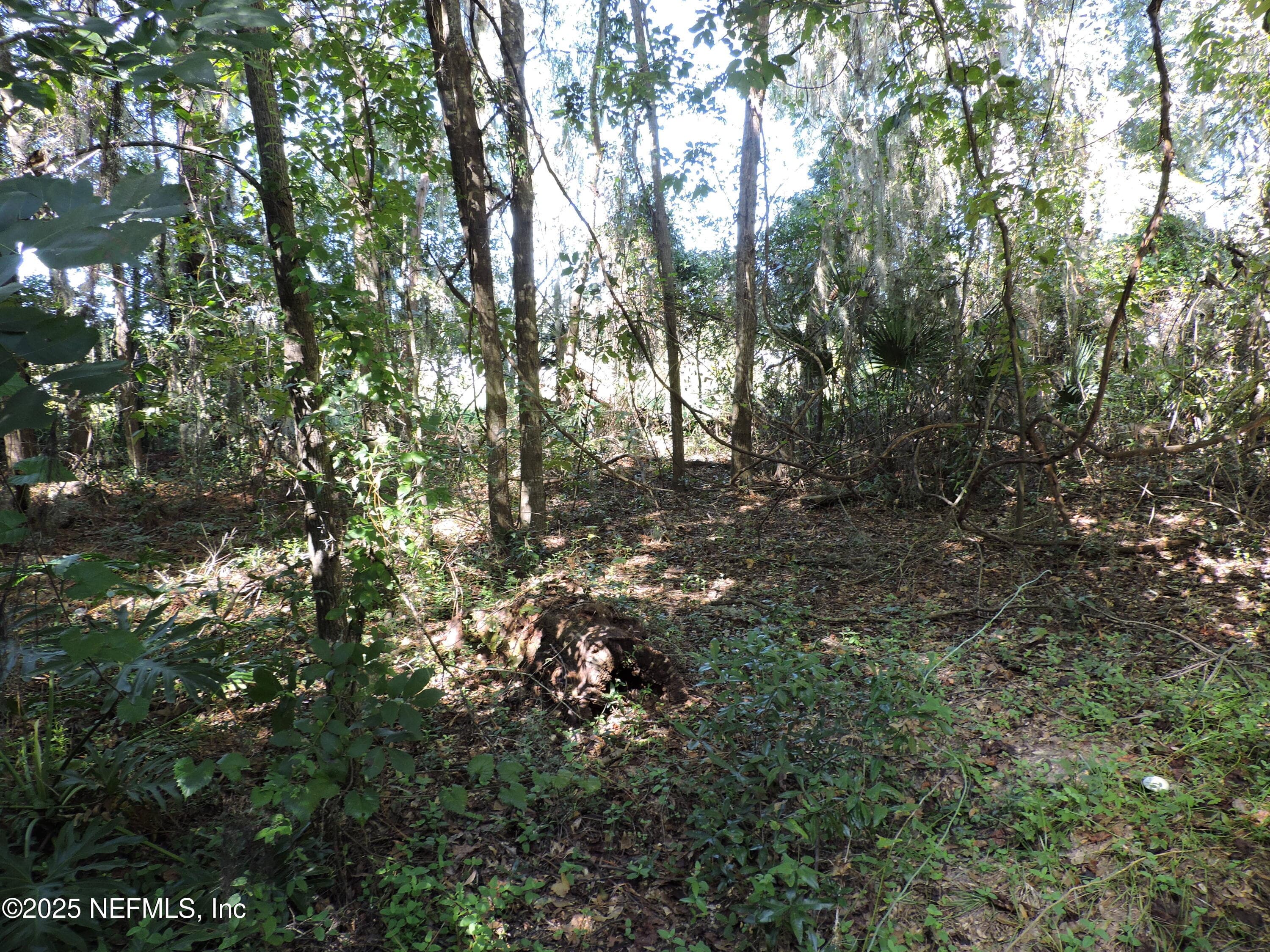 0 NEW BERLIN Road, Jacksonville, FL 32226, Jacksonville — photo 3