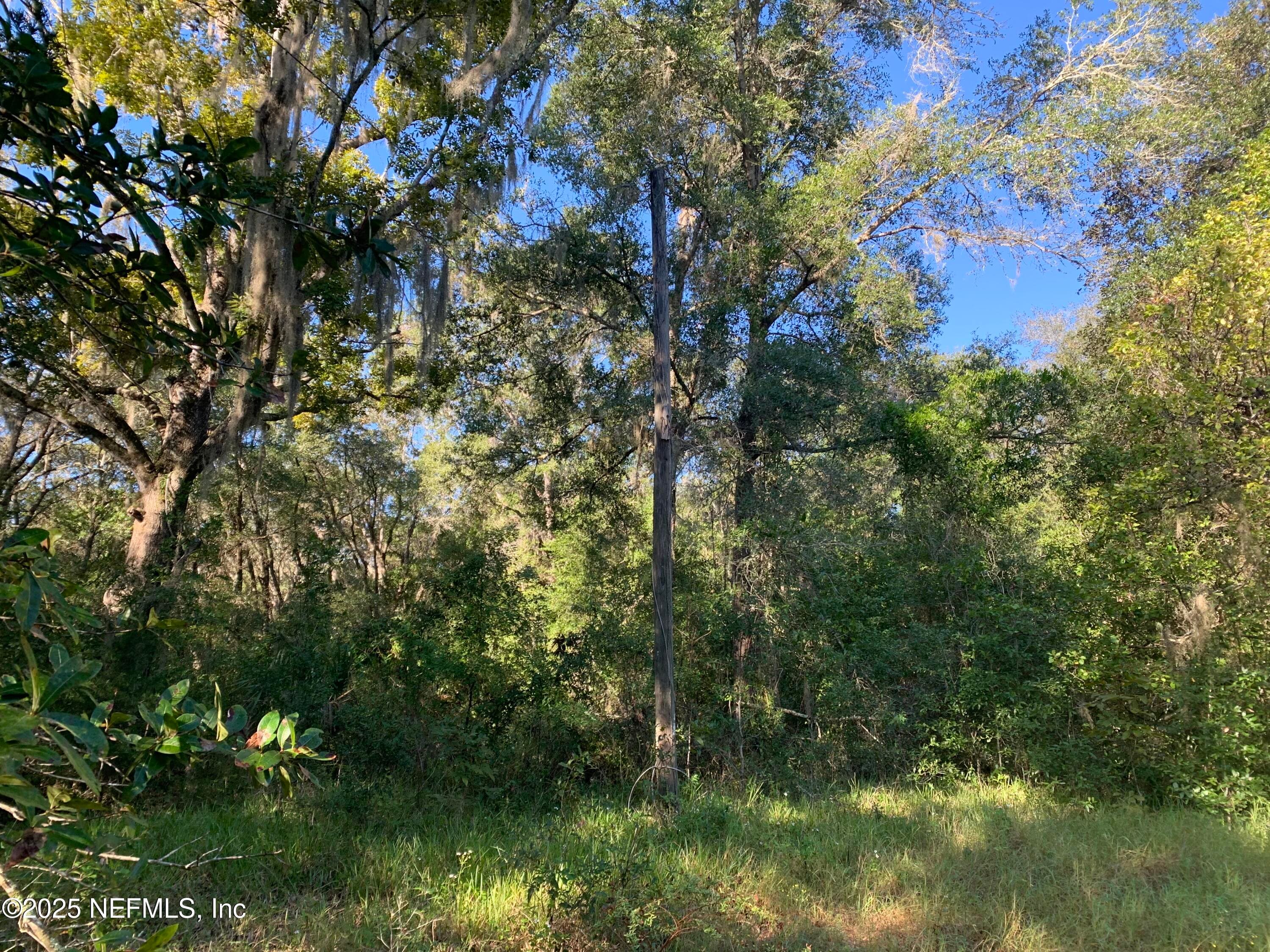 000 BADEN POWELL Road, Hawthorne, FL 32140, Hawthorne — photo 2