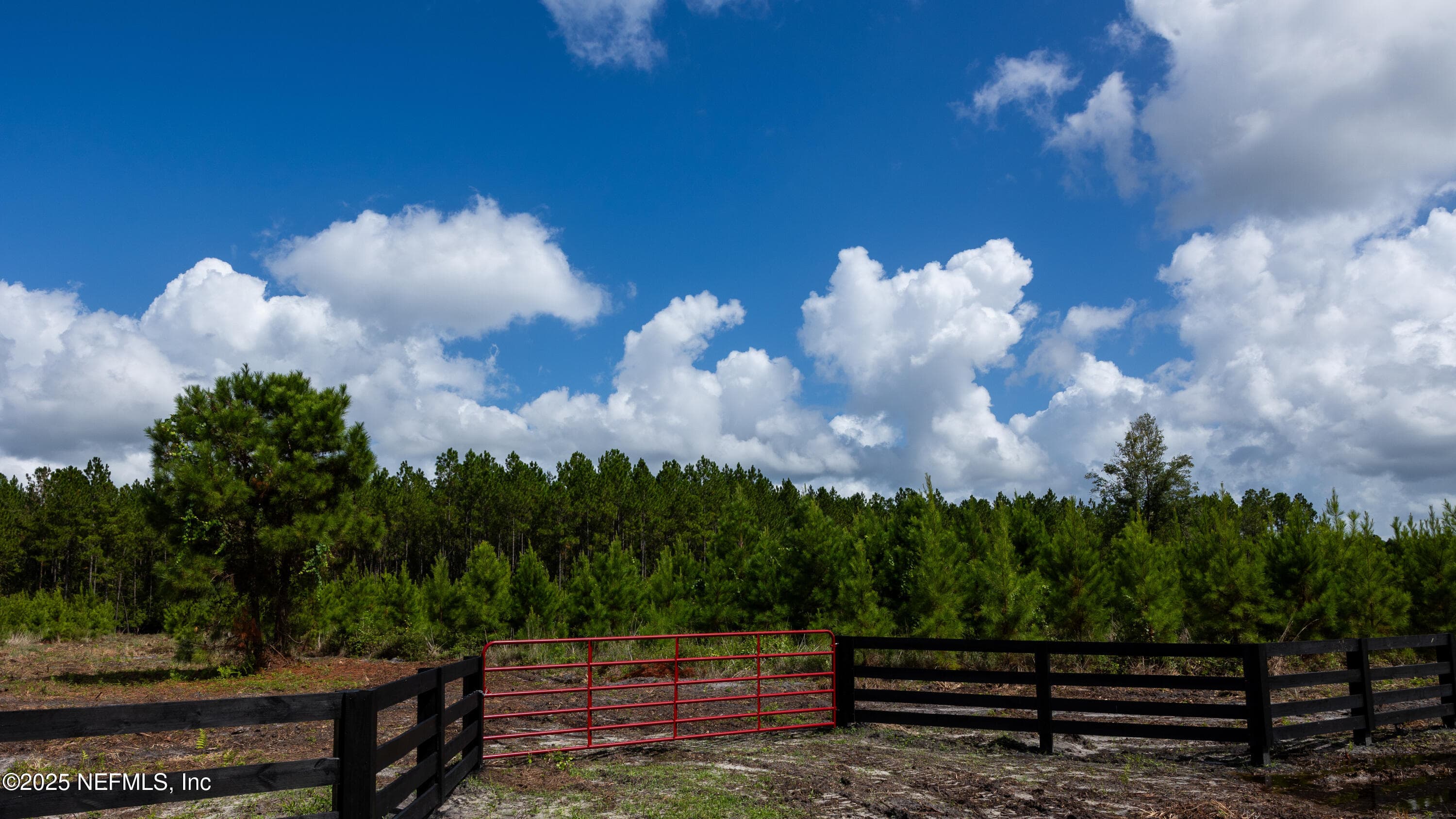 LOT 12 SW COUNTY ROAD 225, Starke, FL 32091, Starke — photo 2