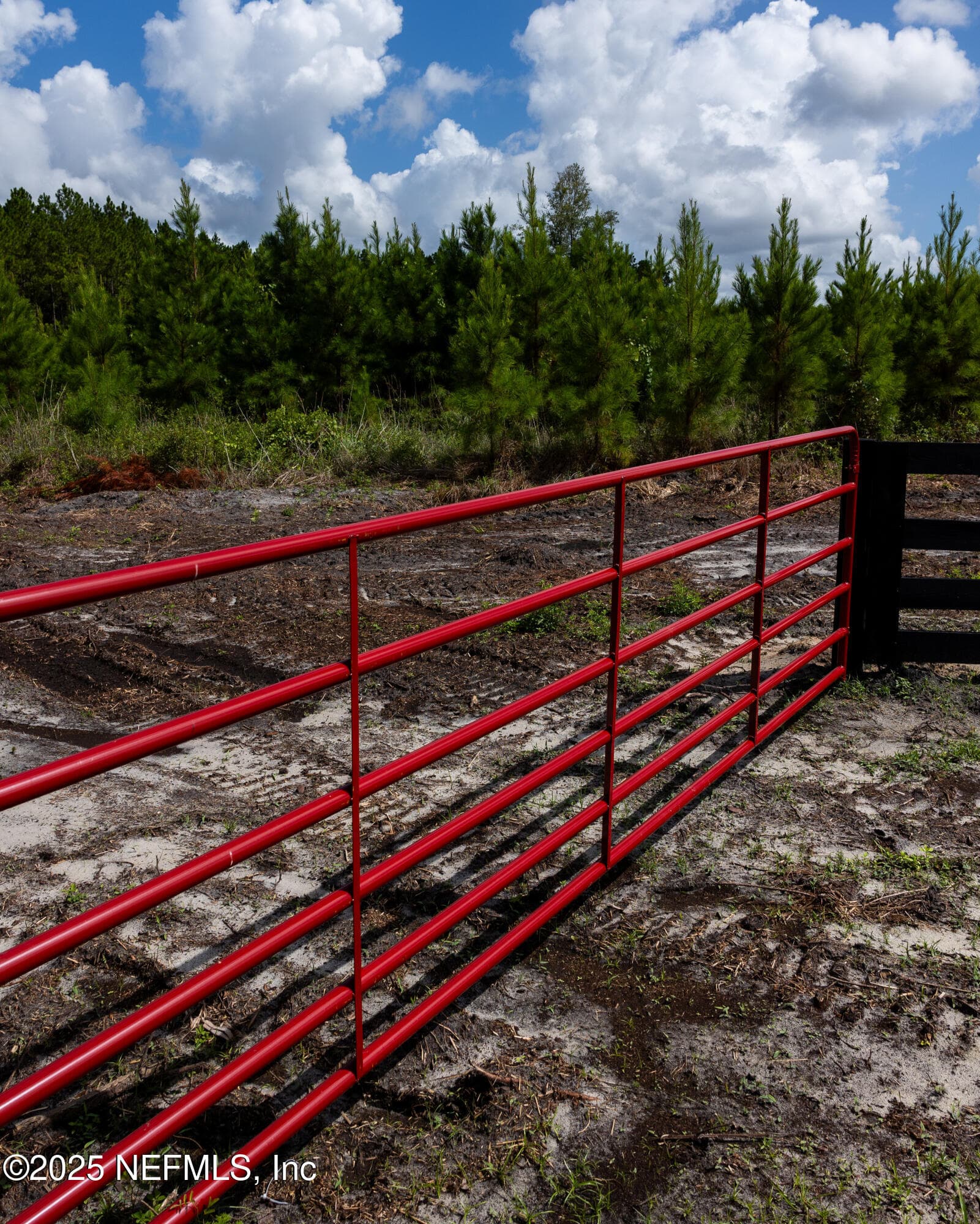 LOT 12 SW COUNTY ROAD 225, Starke, FL 32091, Starke — photo 3