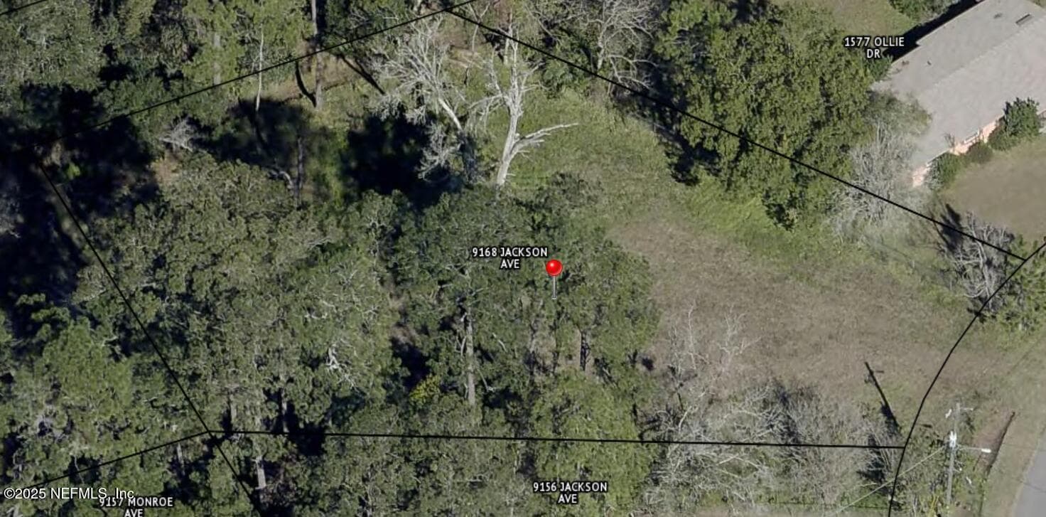 9168 JACKSON Avenue, Jacksonville, FL 32208, Jacksonville — photo 2