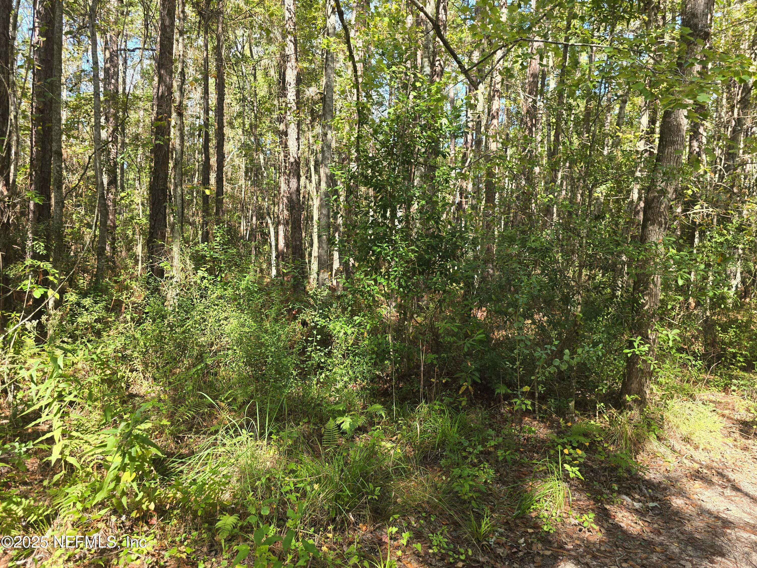4122 BECKY Street, Middleburg, FL 32068, Middleburg — exterior