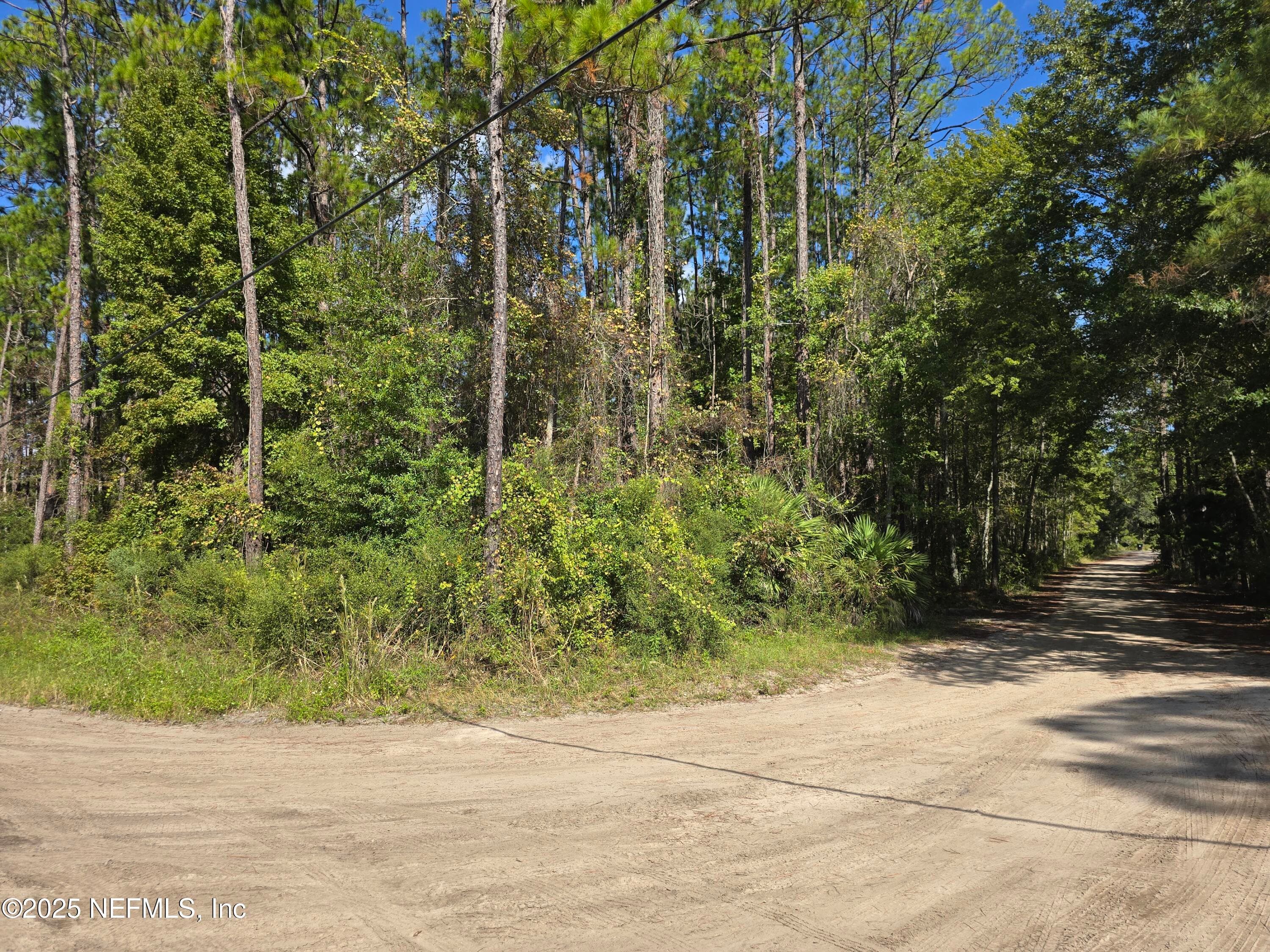 4122 BECKY Street, Middleburg, FL 32068, Middleburg — photo 2